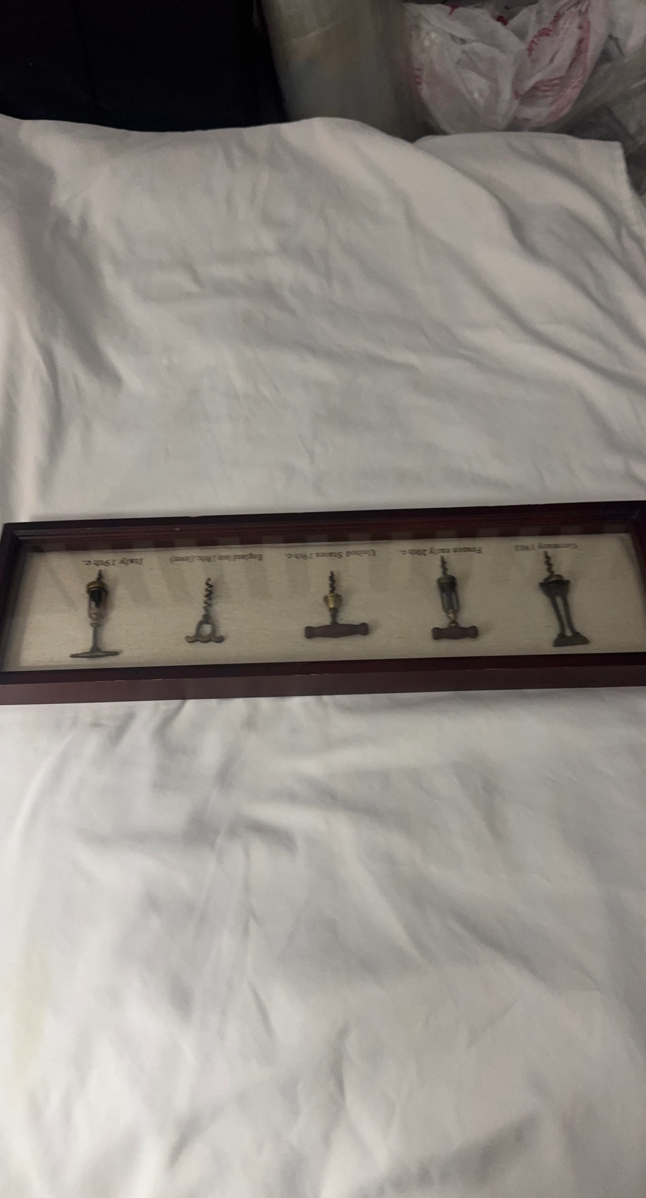 Vintage Corkscrew Collection Display