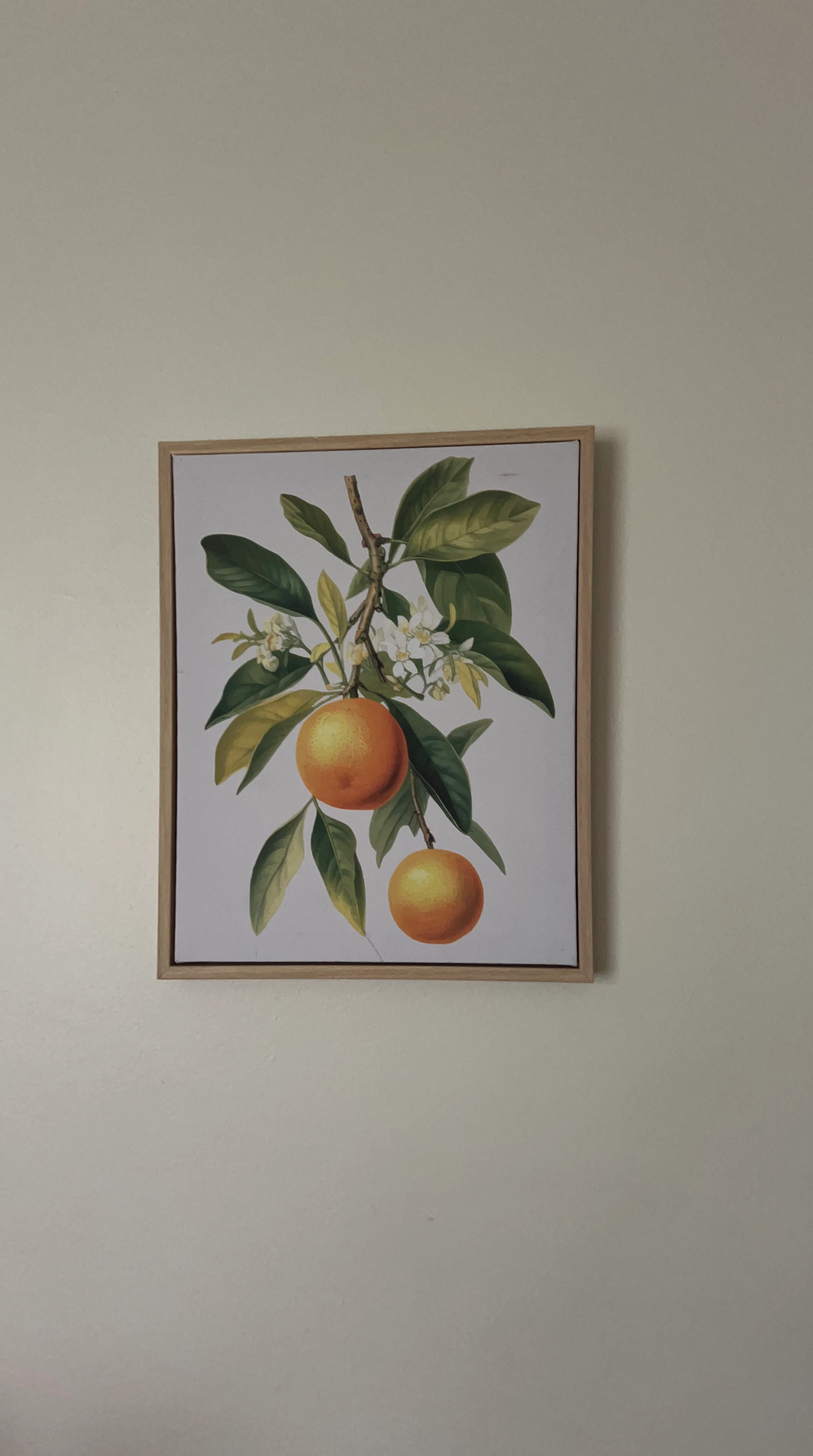 Orange Botanical Wall Art