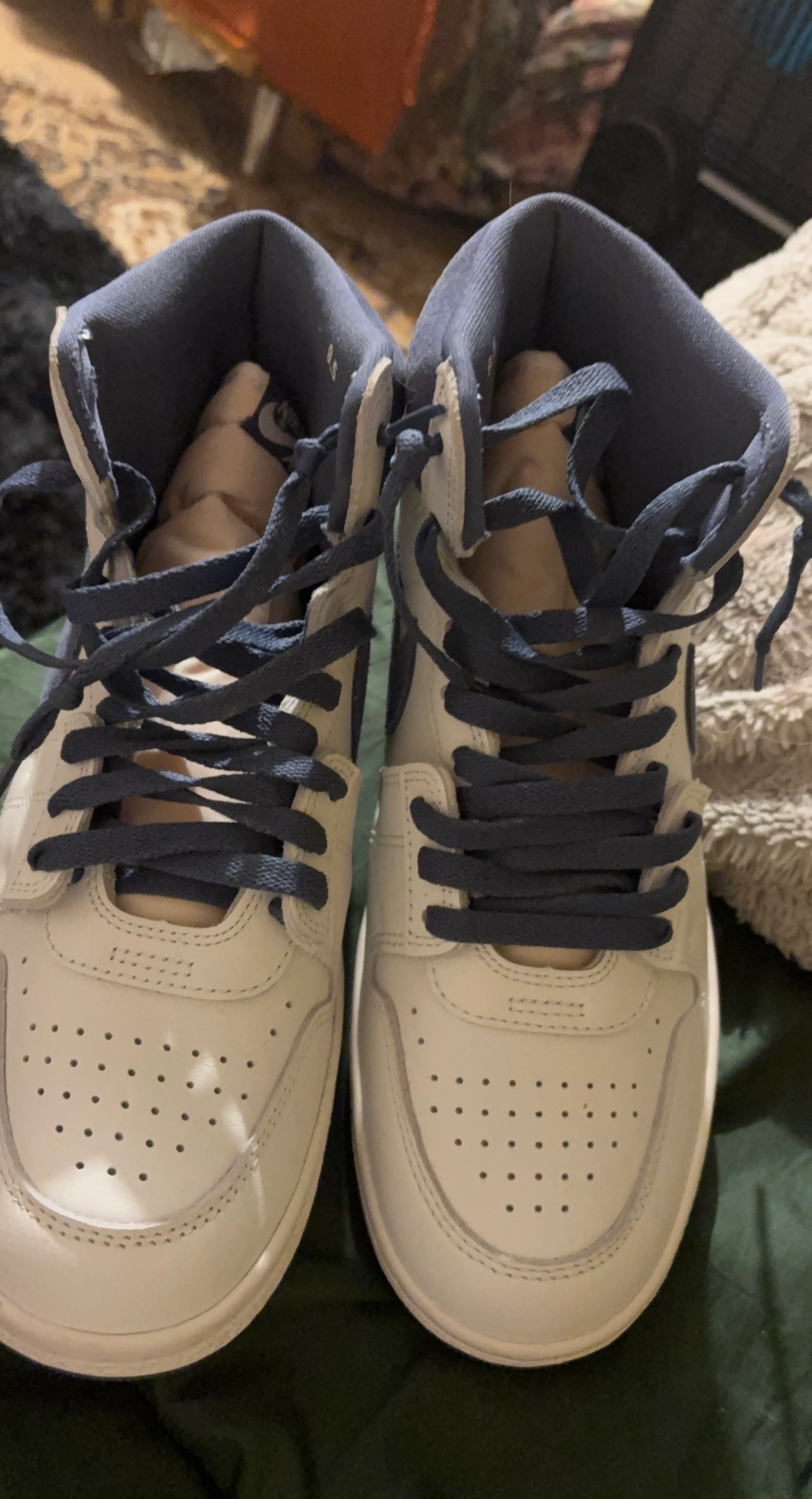 Nike Air Jordan High Top Sneakers