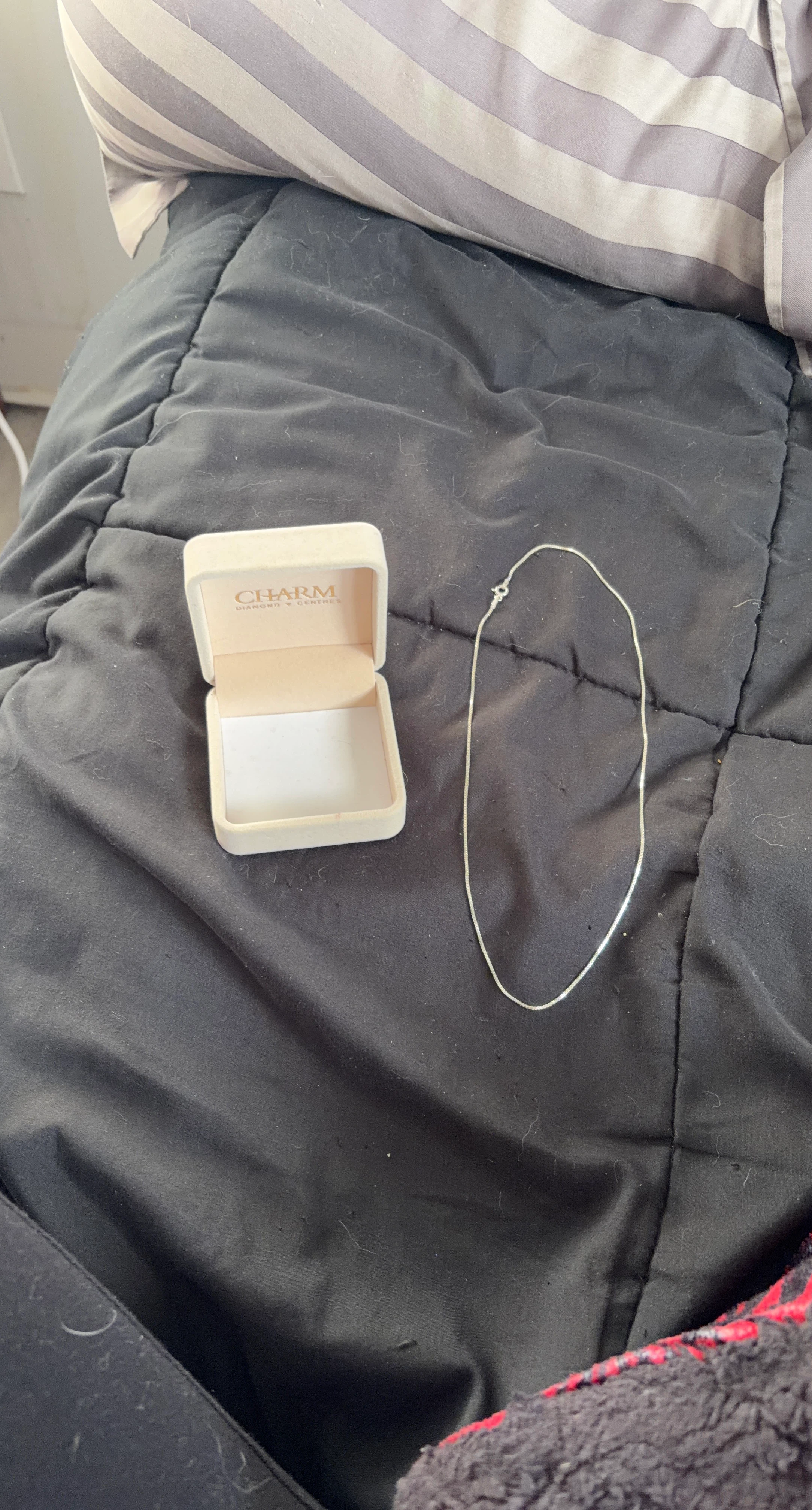 Charm Silver Chain