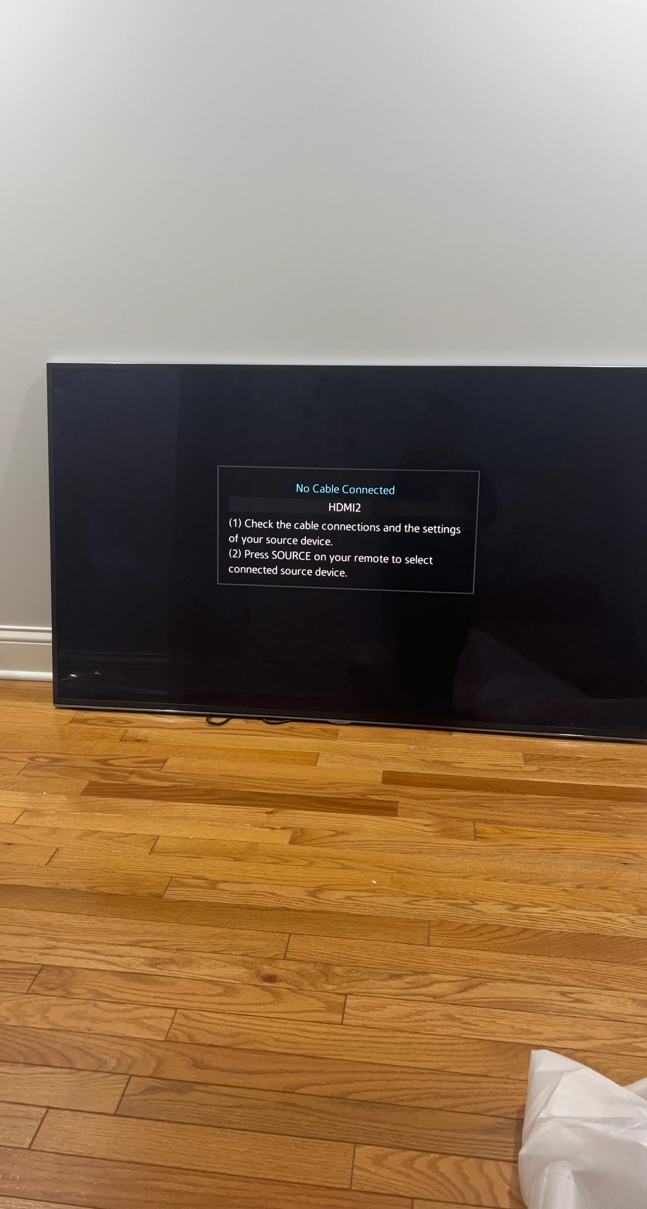Large Flat Screen Television