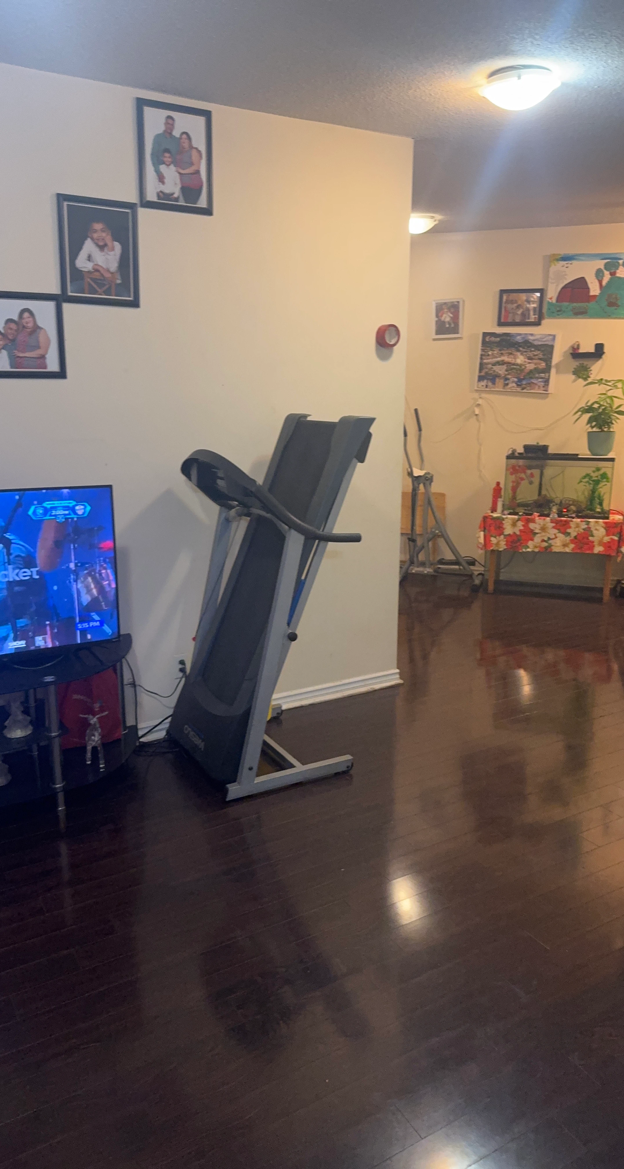 Weslo Treadmill