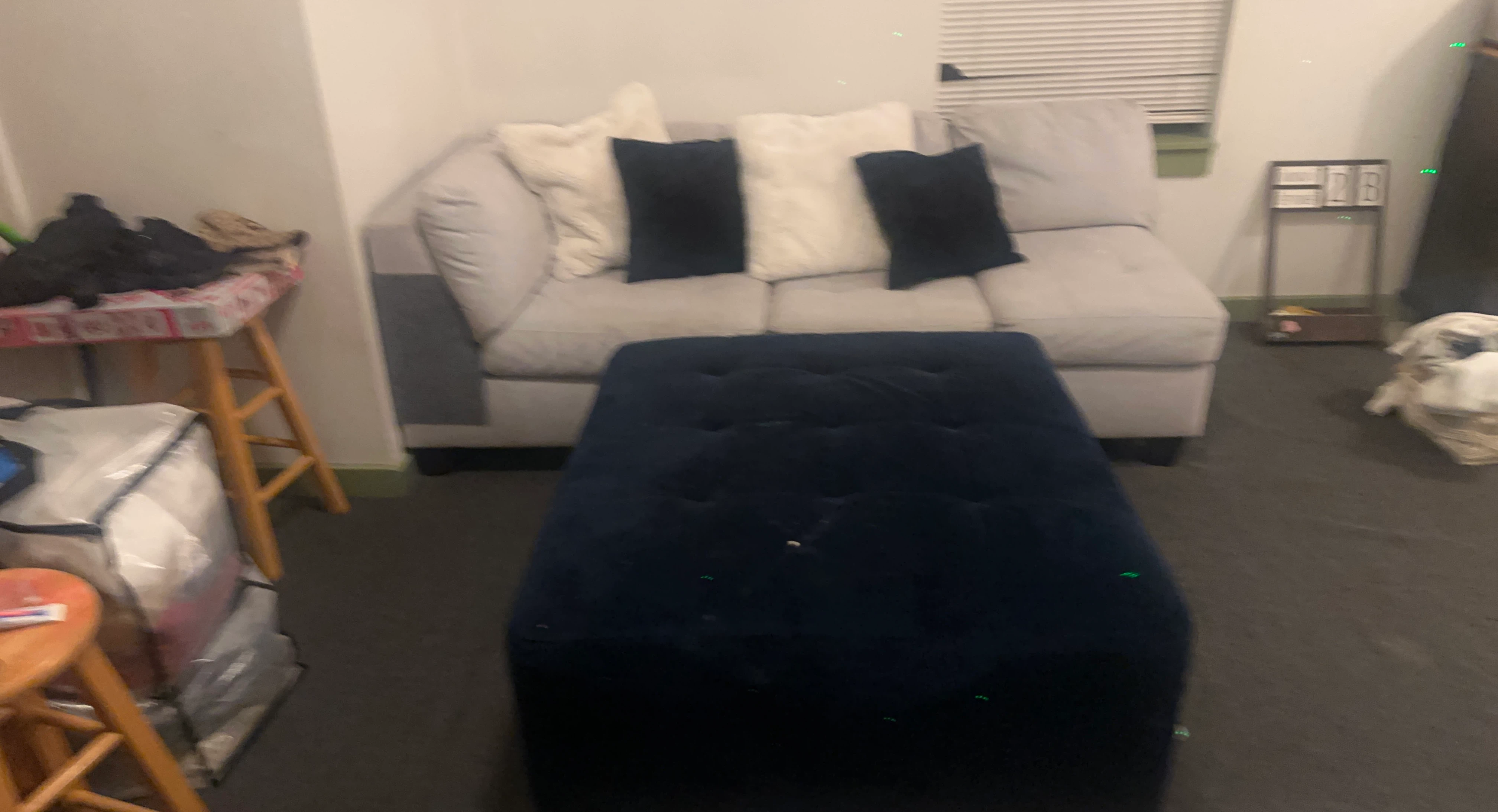 Gray Sofa with Navy Tufted Ottoman