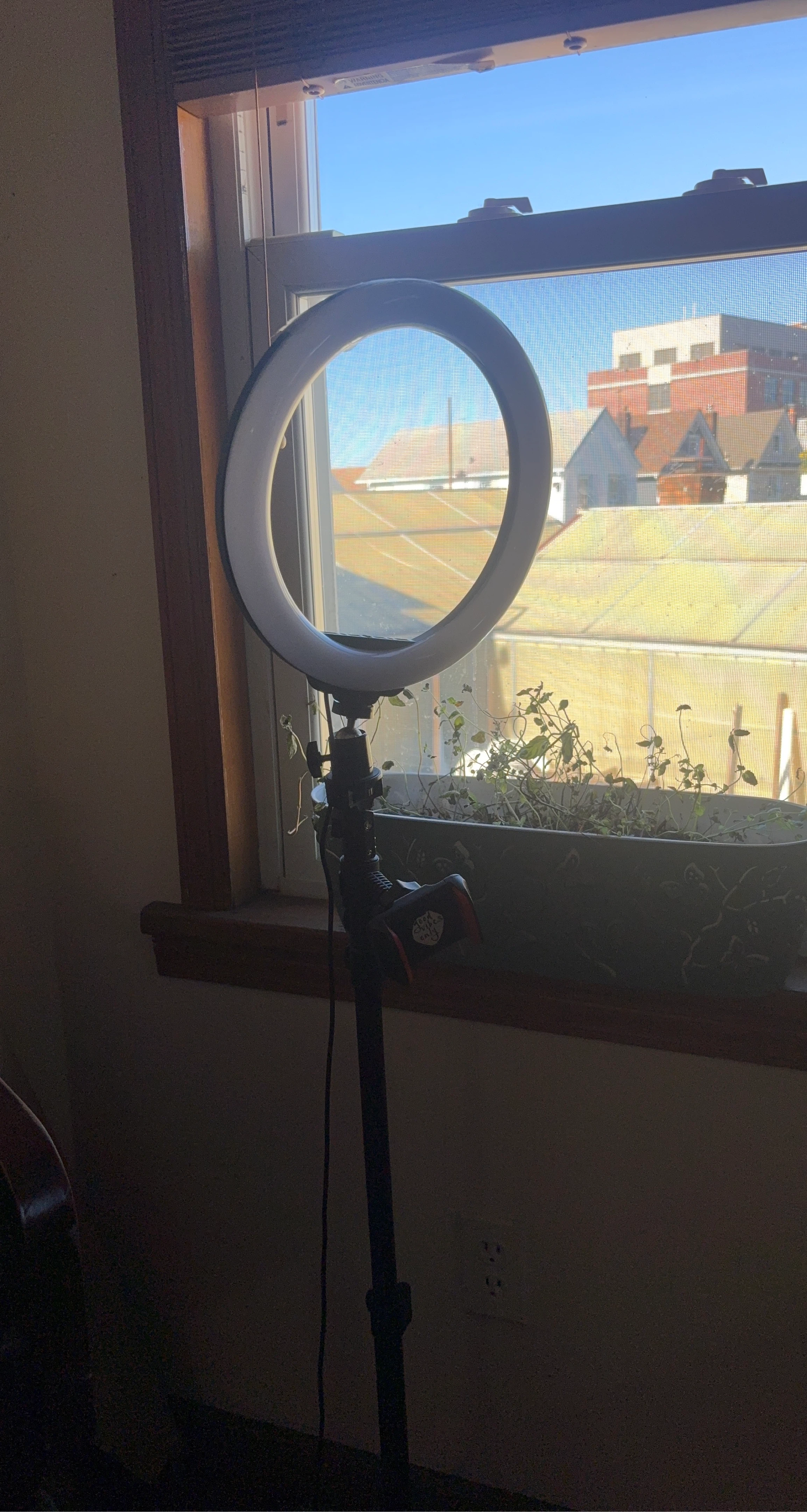 LED Ring Light with Phone Holder and Stand