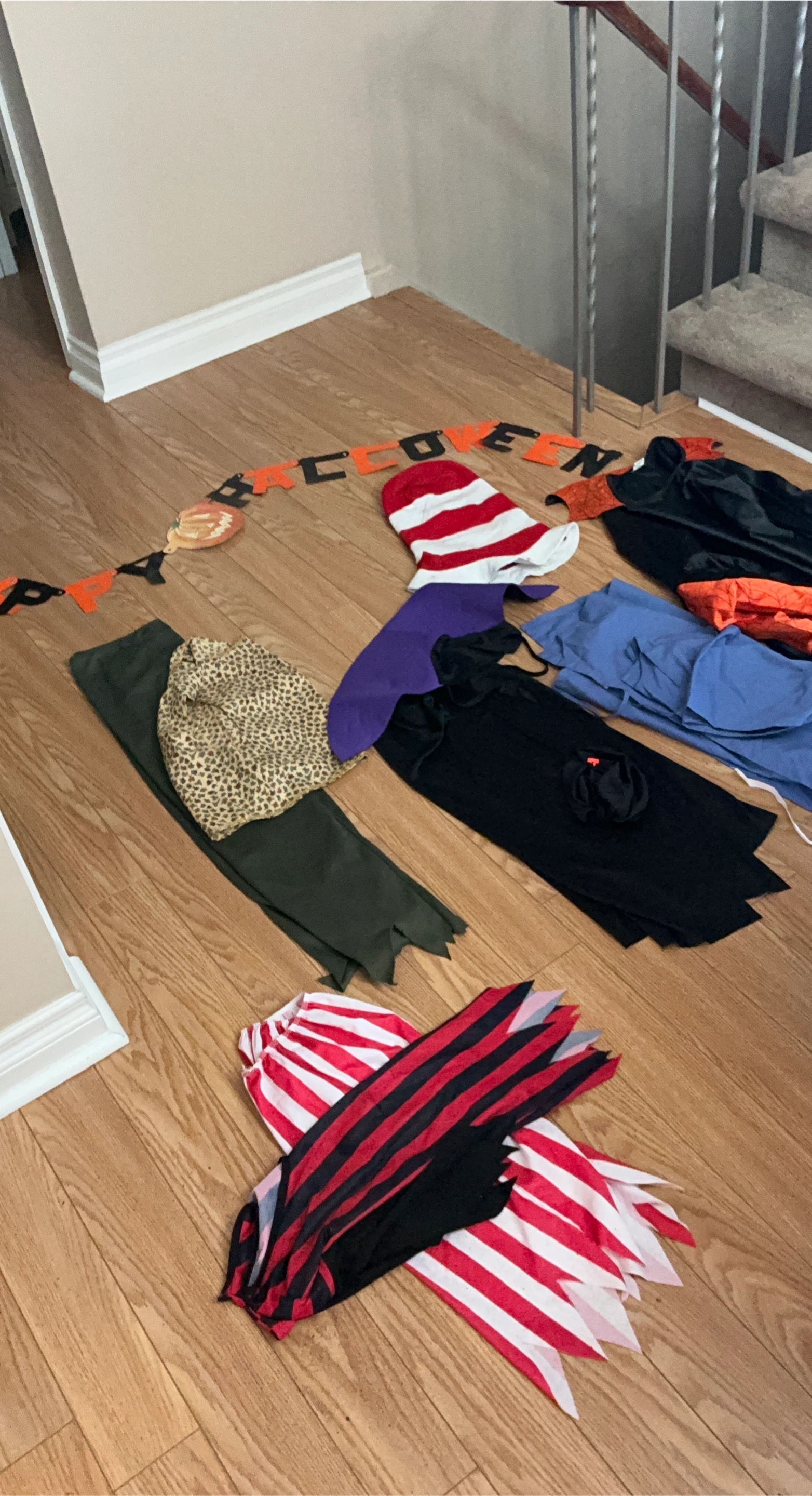 Assorted Halloween Costume Lot