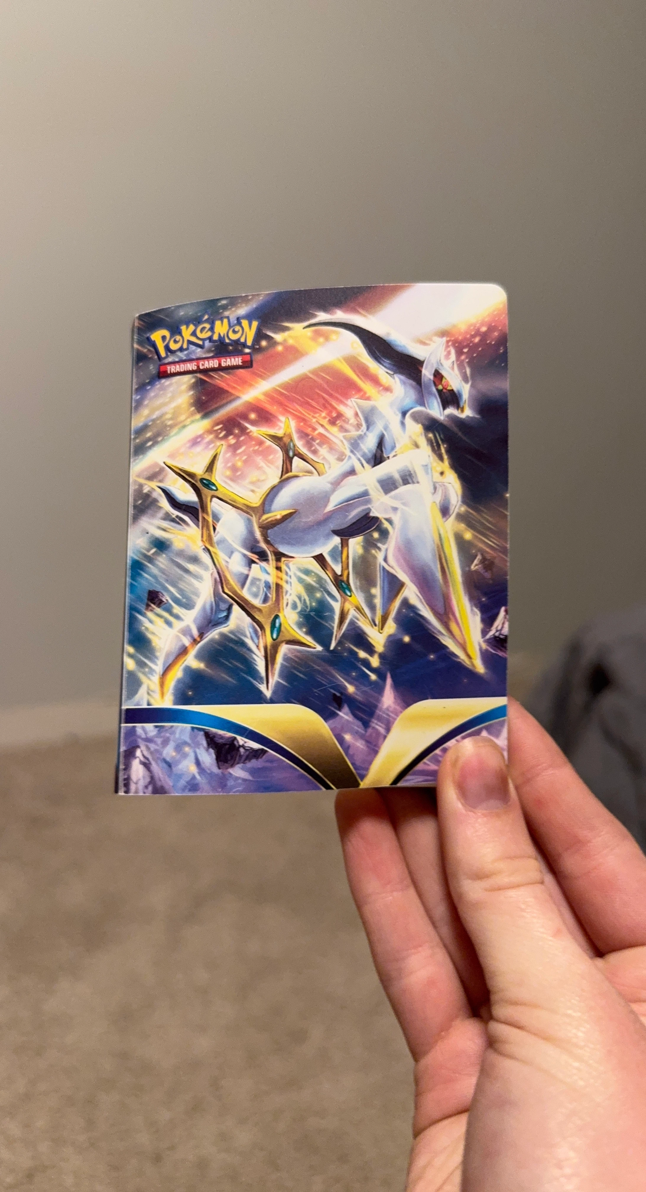 Pokemon Trading Card Game Mini Portfolio