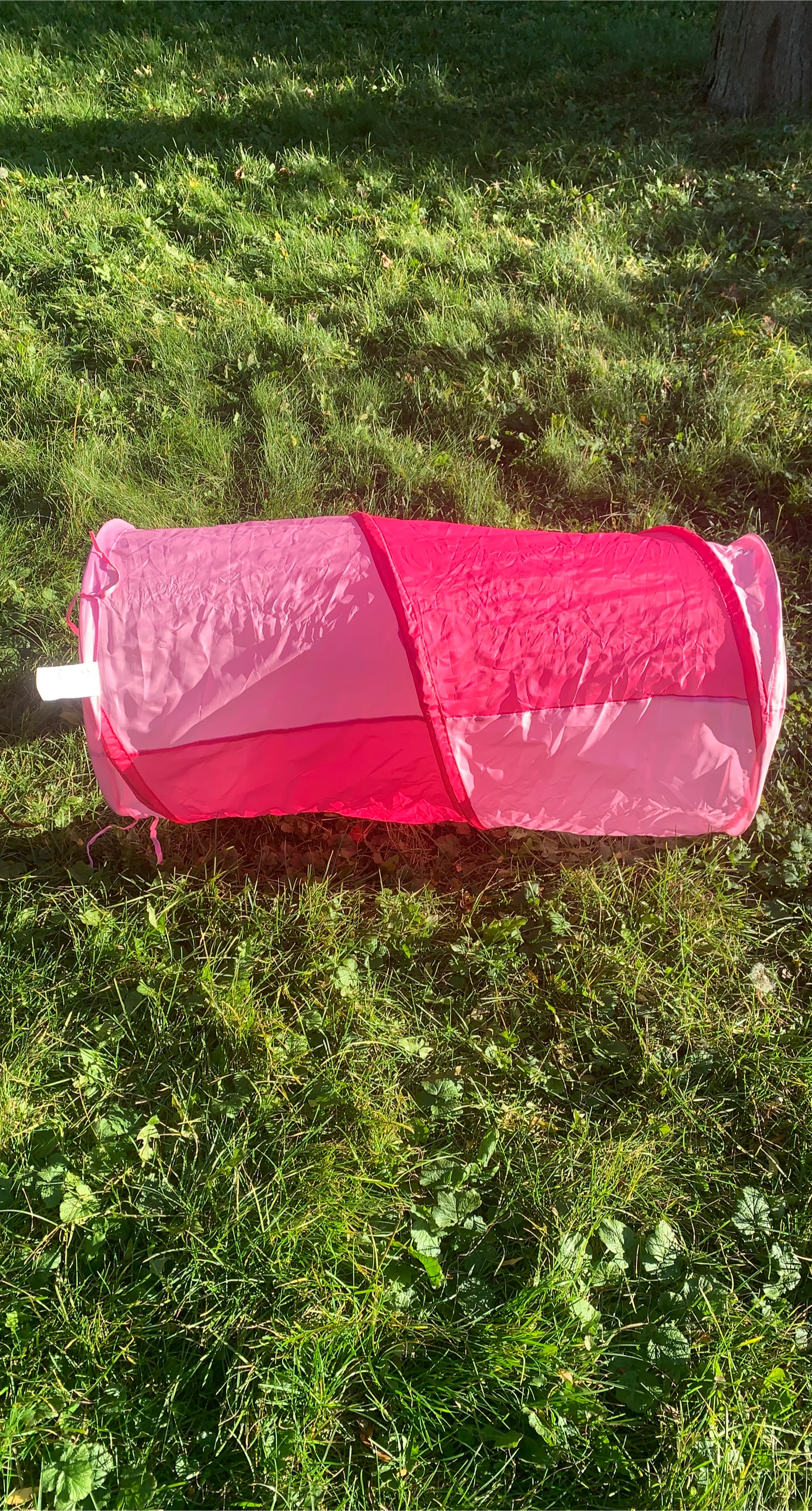 Pink Children's Play Tunnel