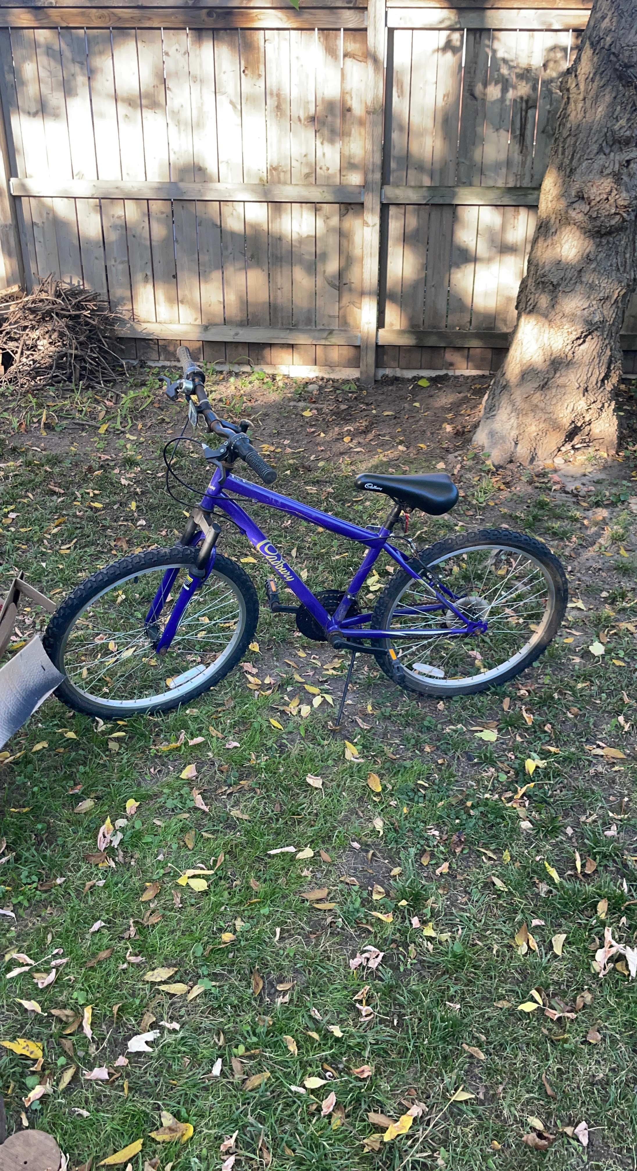 Cadbury Purple Mountain Bike