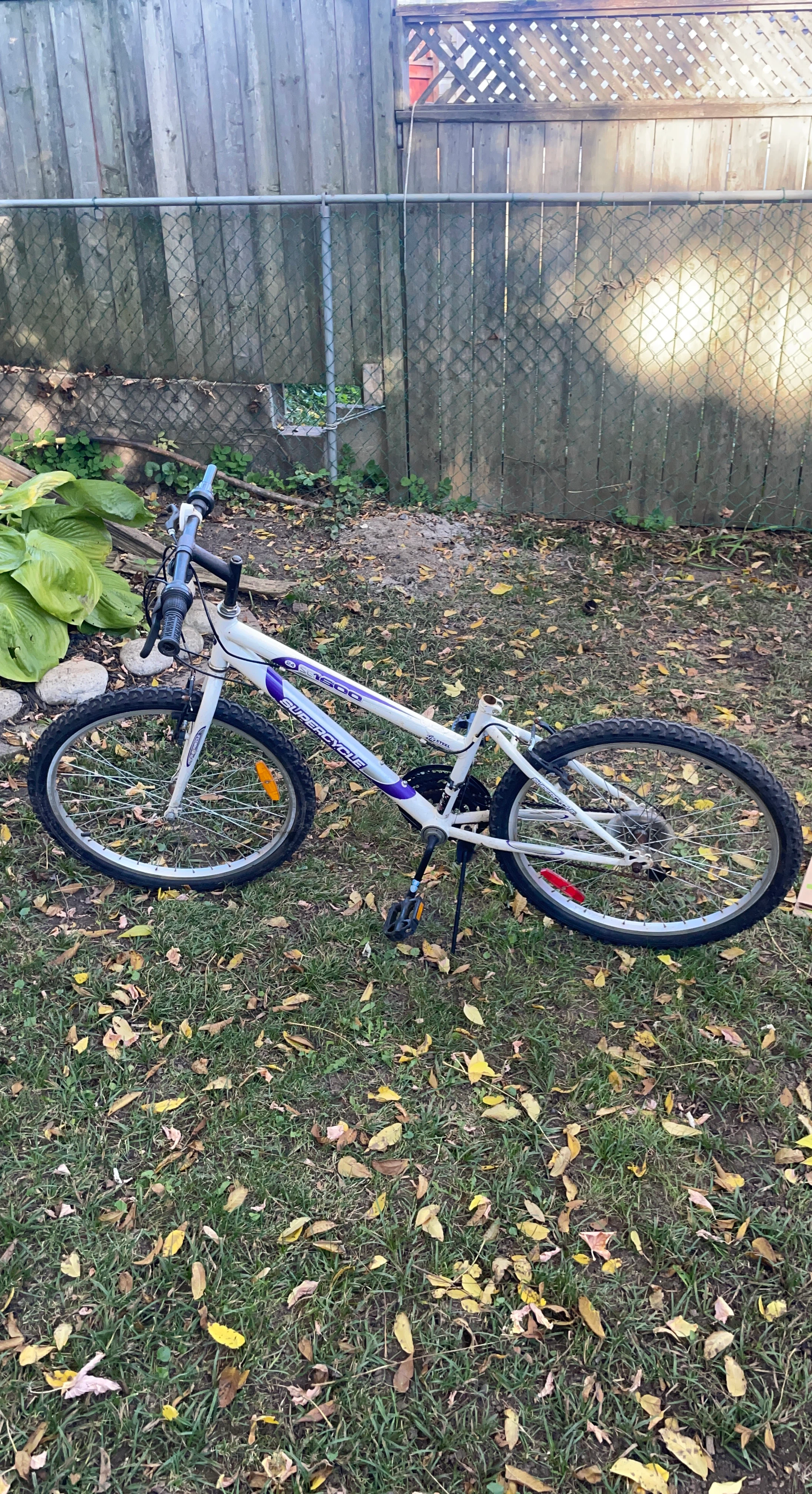 Supercycle SC1600 24-inch Mountain Bike. No seat