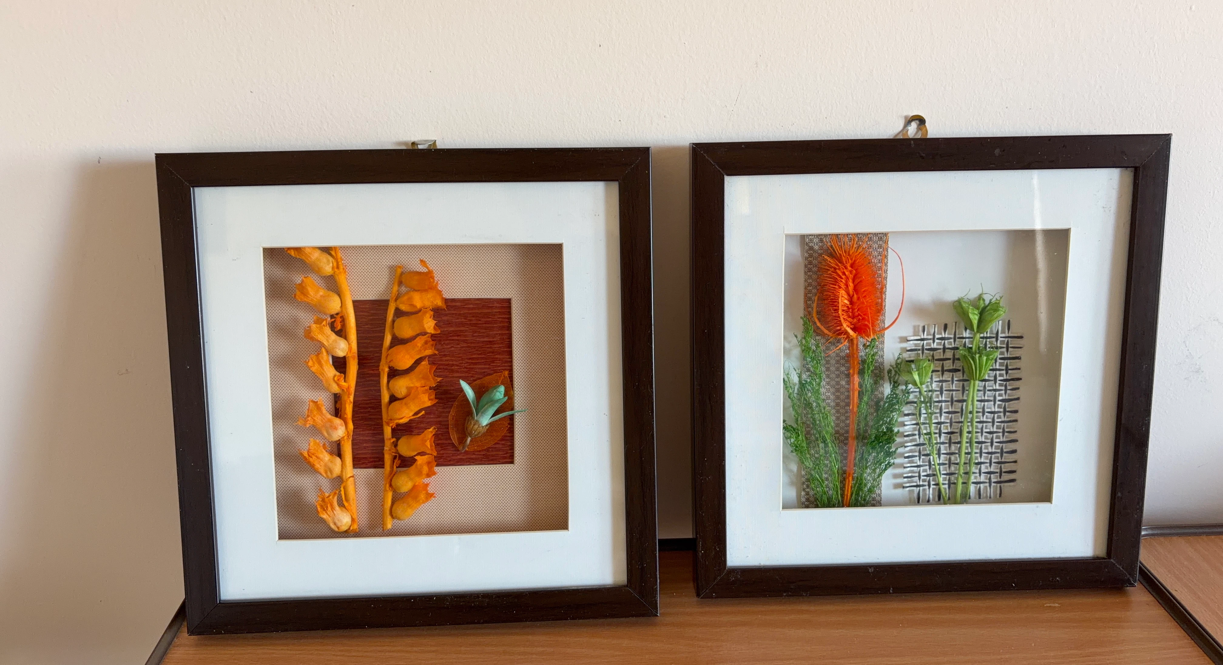 Set of Two Pressed Botanical Framed Art