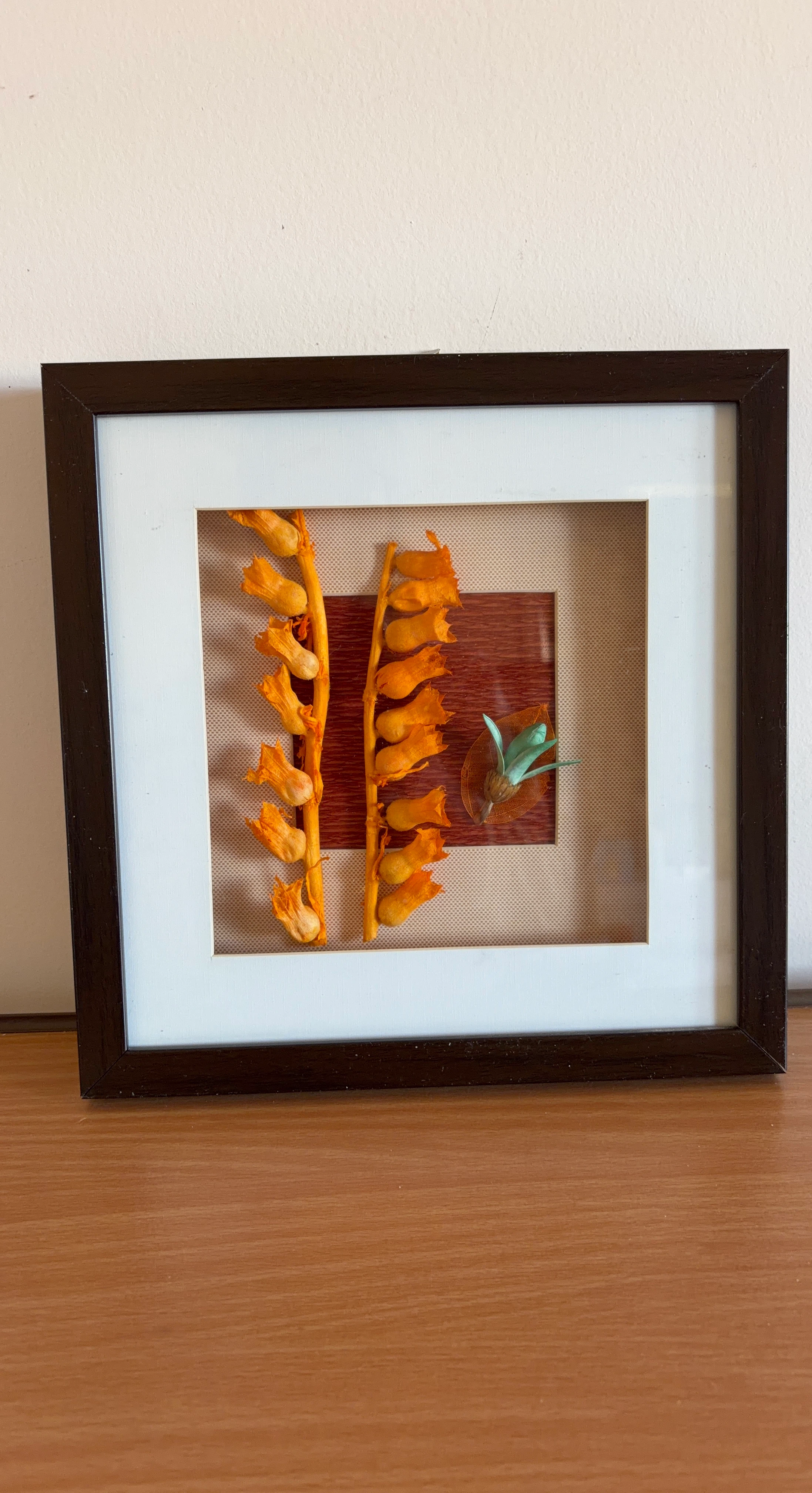 Framed Dried Flower Wall Art