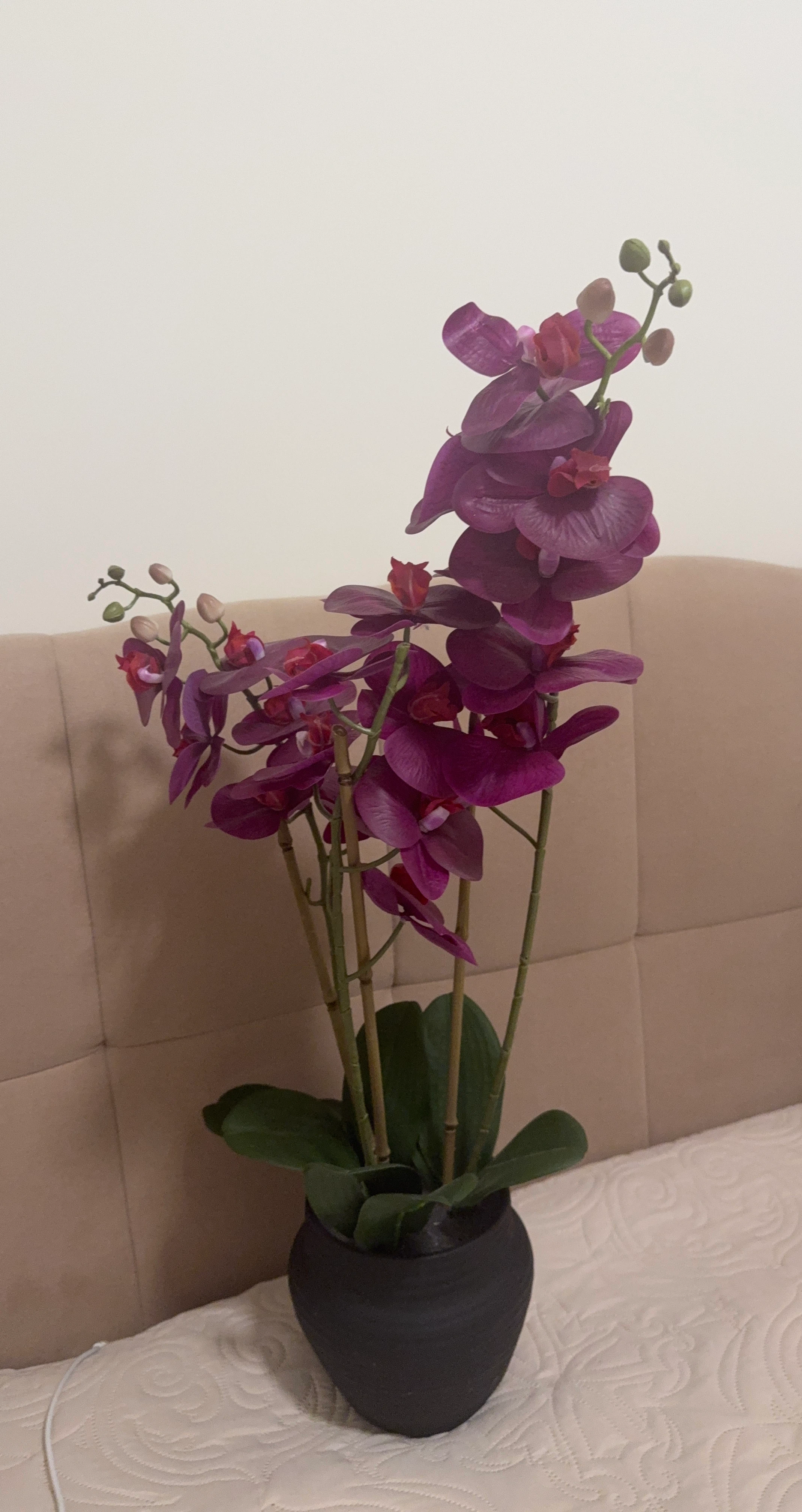 Artificial Purple Orchid in Black Pot