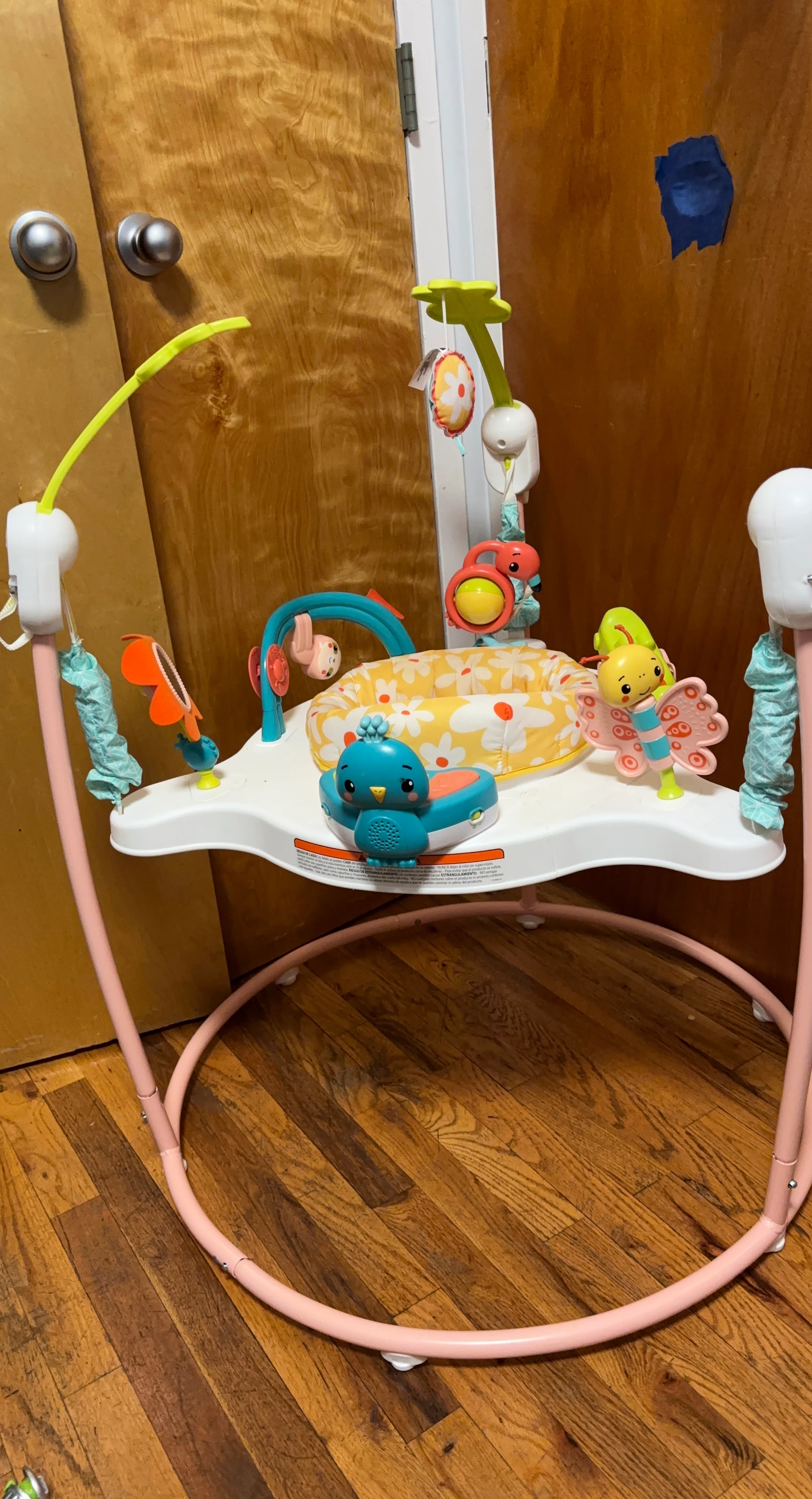 Baby Einstein Neighborhood Friends Activity Jumper