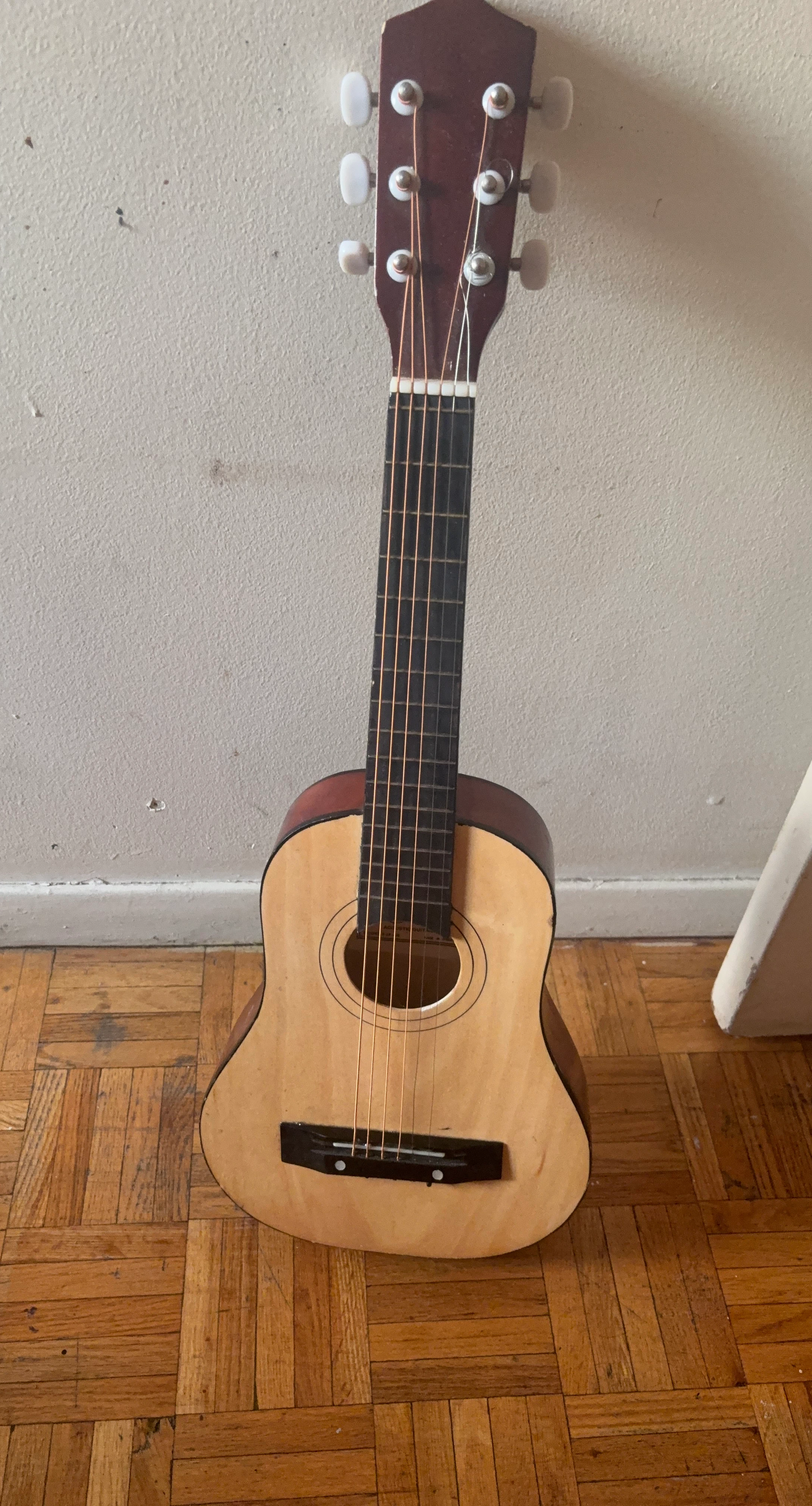 Small Acoustic Guitar