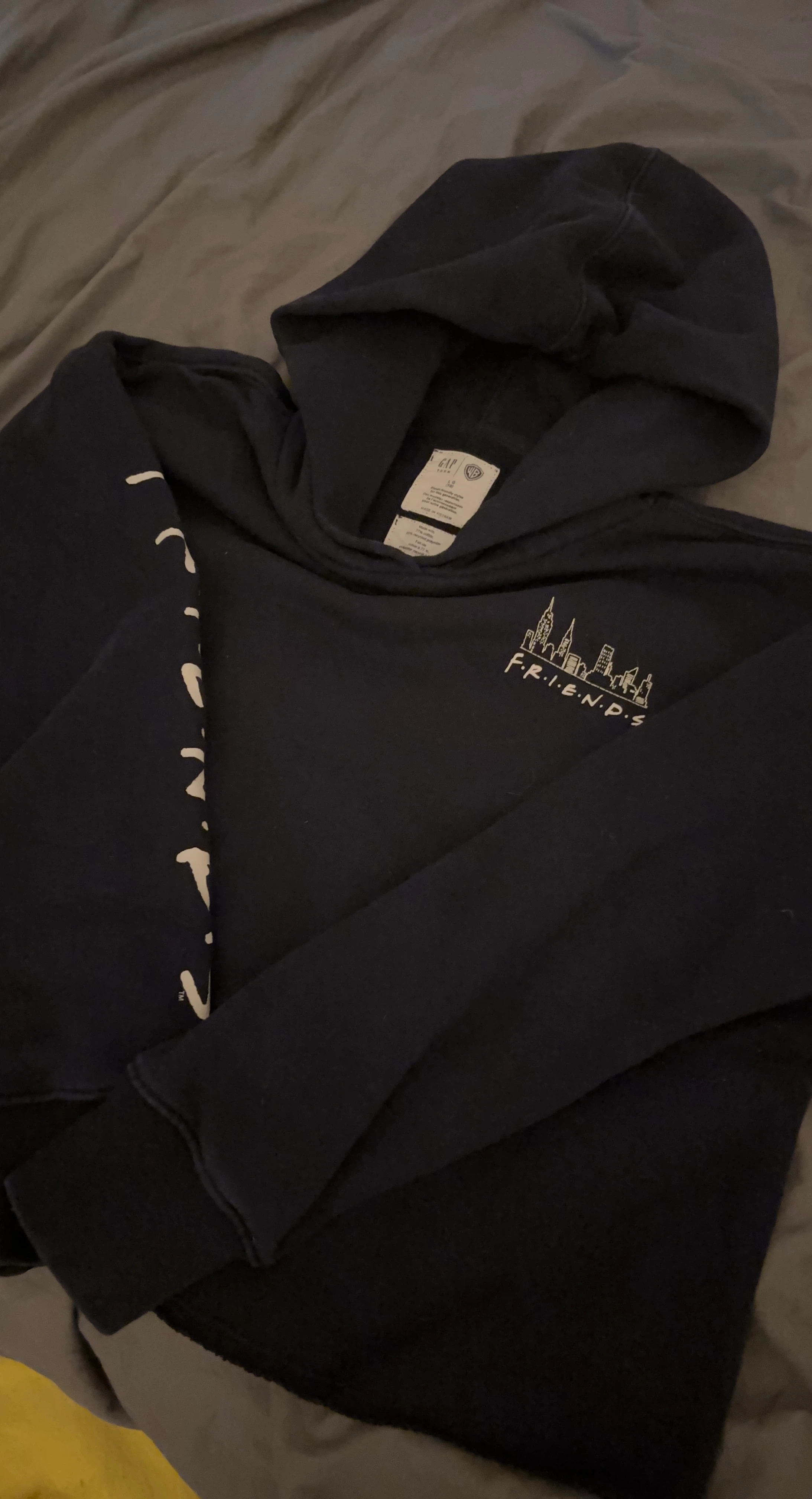 Gap Teen x Friends Hoodie