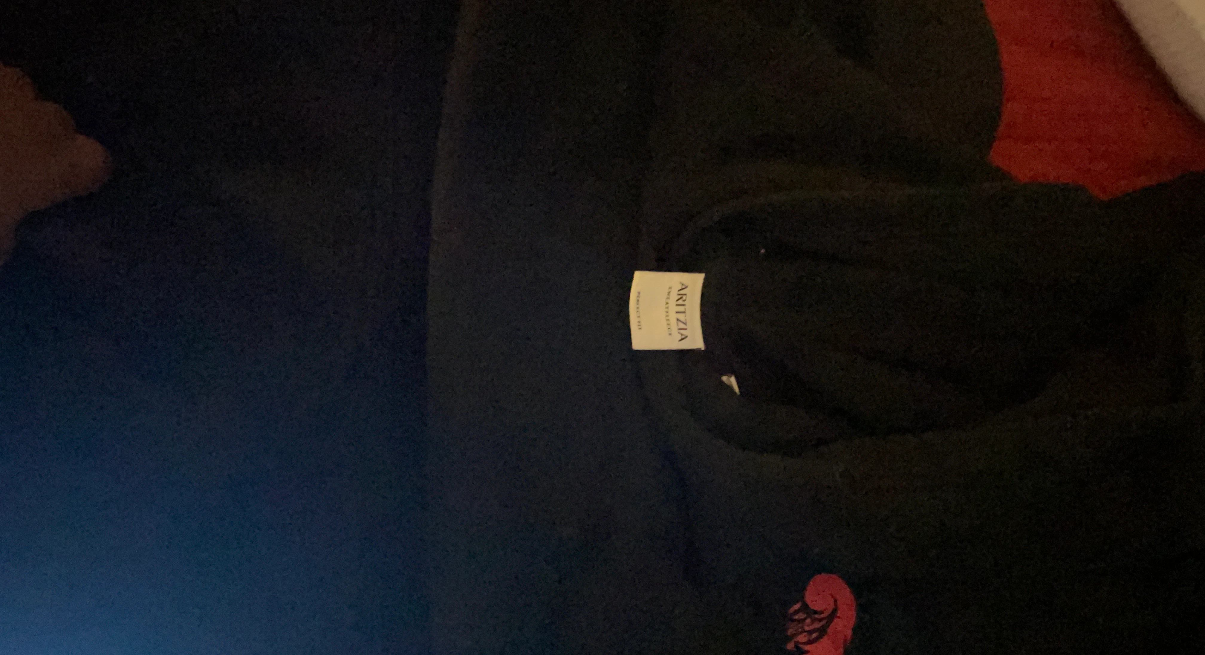Aritzia Sweatfleece Hoodie