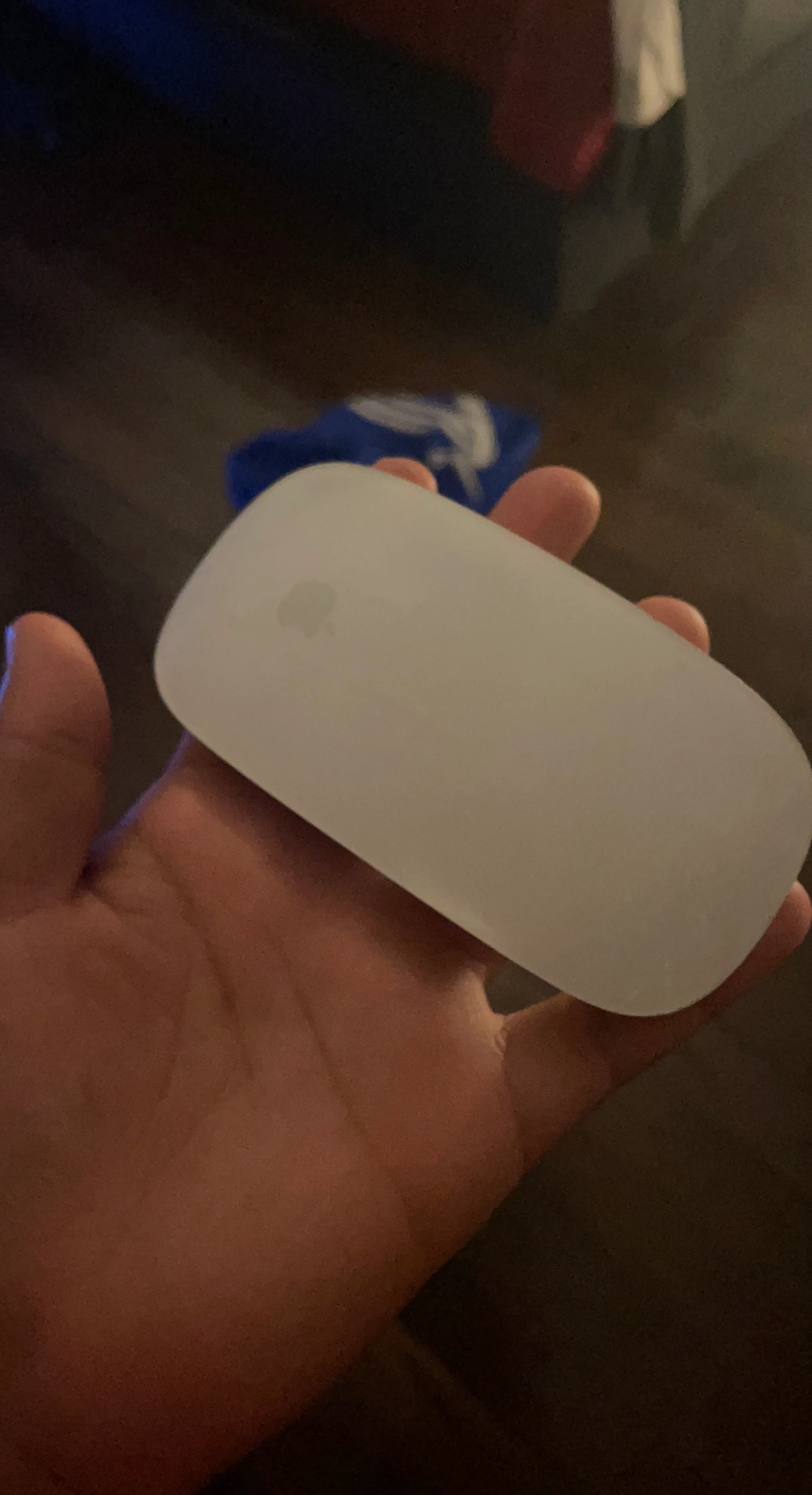 Apple Magic Mouse