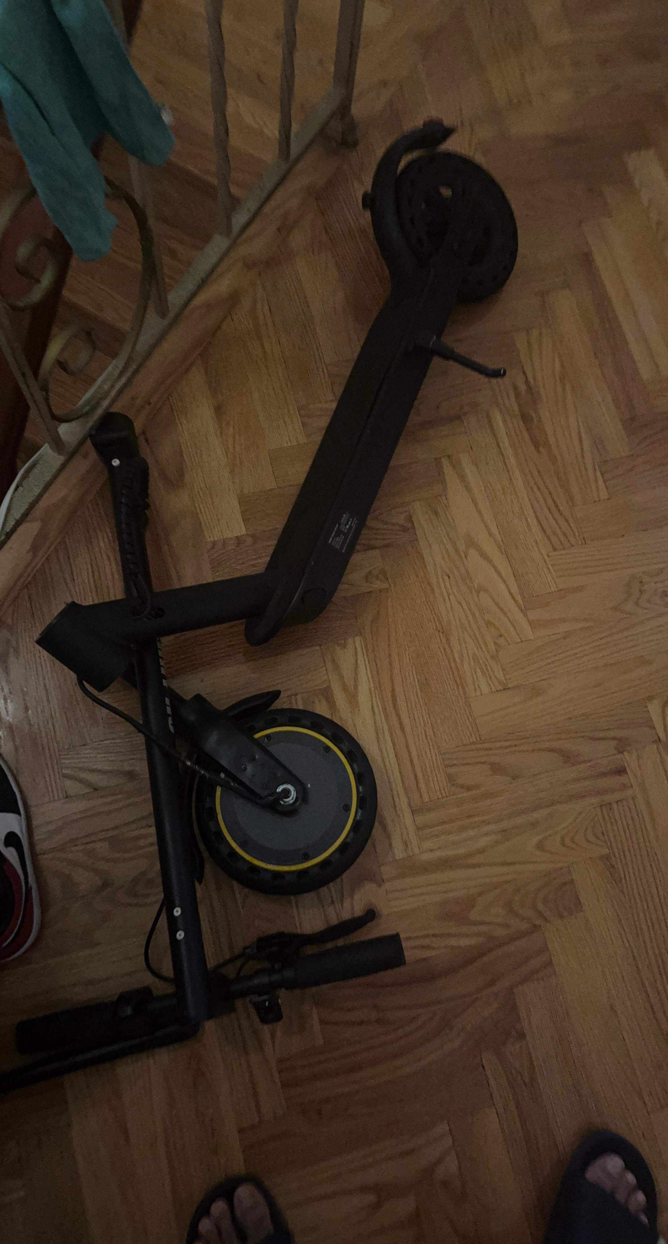 Segway Ninebot Electric Scooter