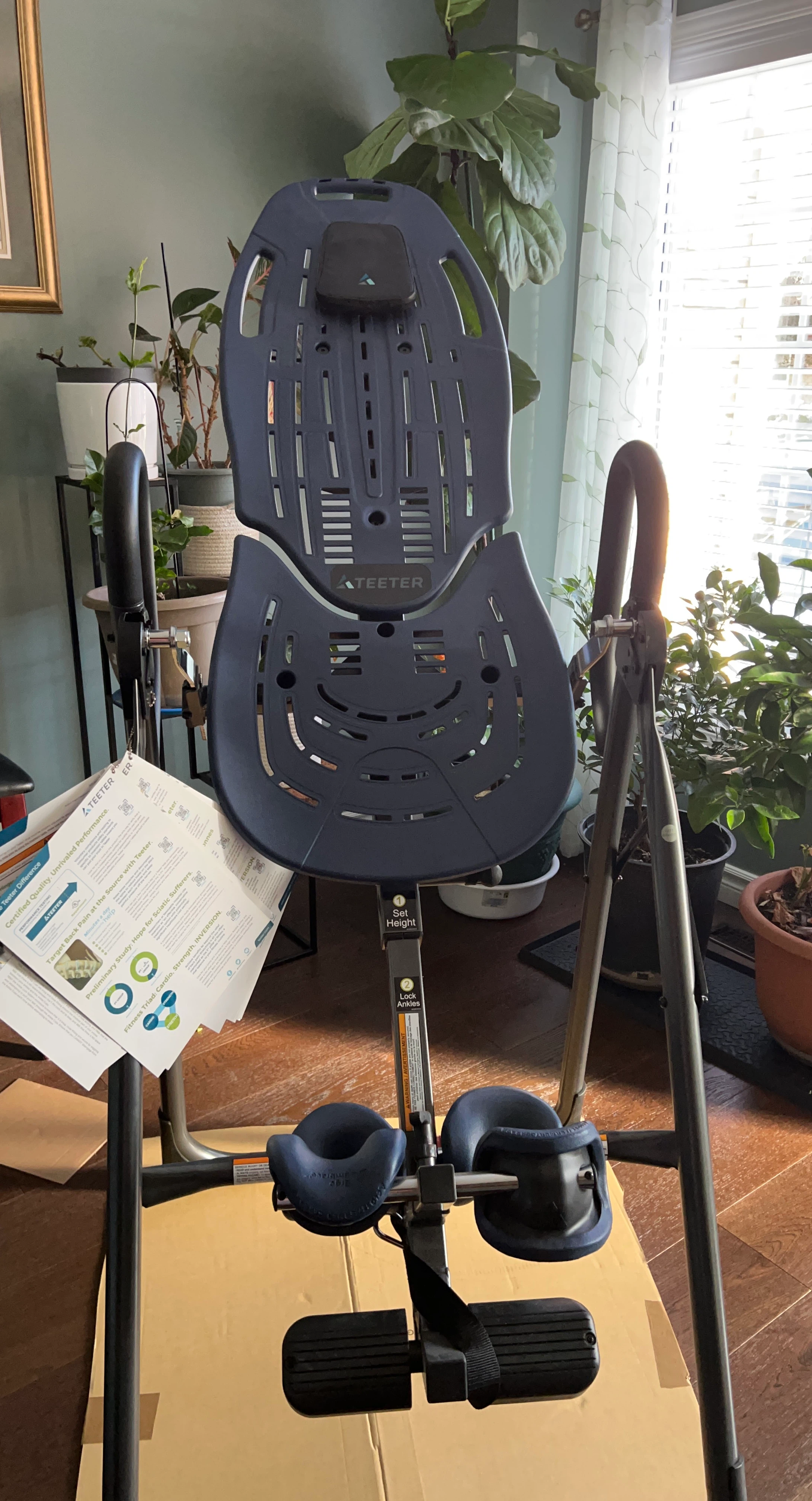 Teeter Inversion Table