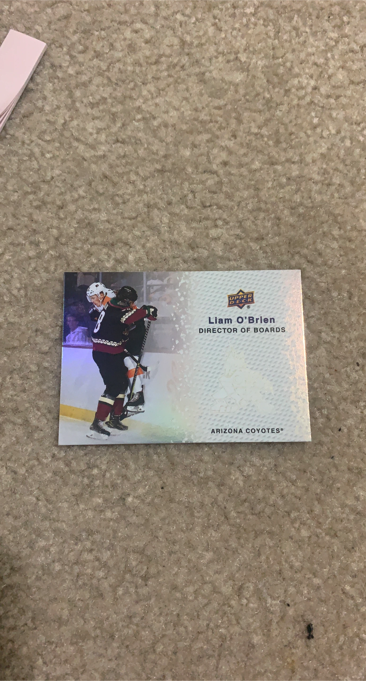 Upper Deck Liam O'Brien Arizona Coyotes Hockey Card