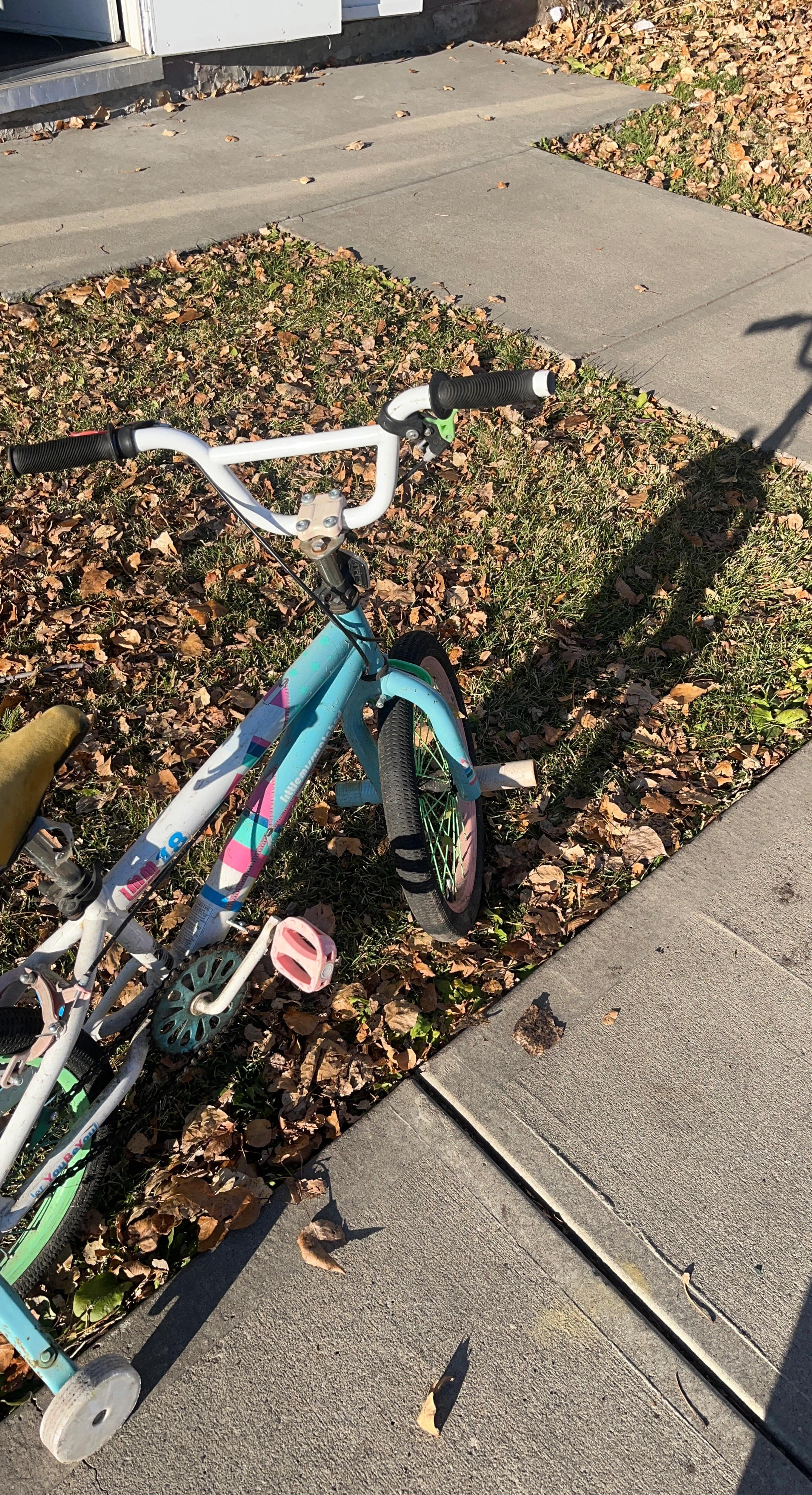 Little Miss Muffet Kids Bike