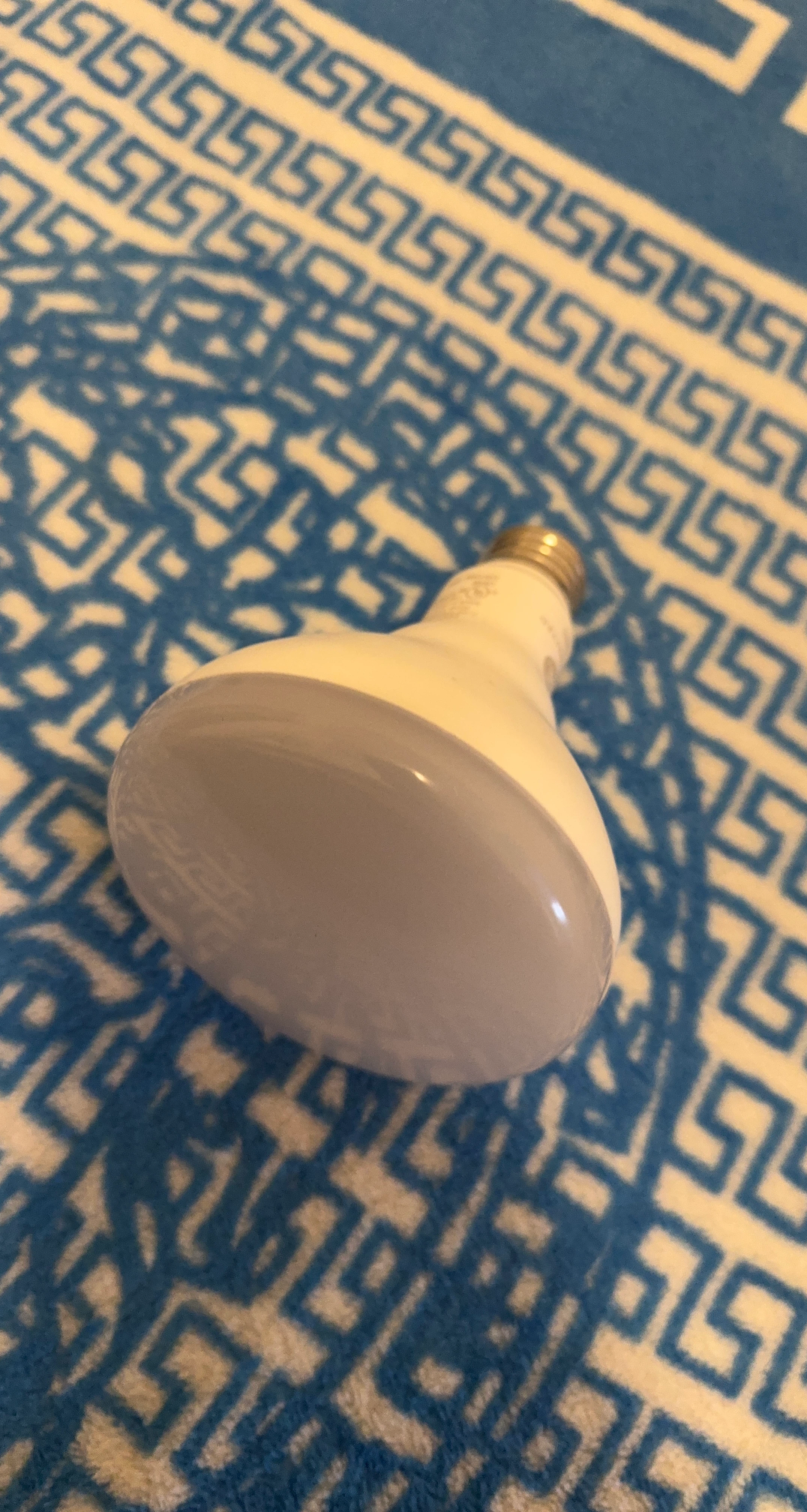 Philips LED Flood Light Bulb
