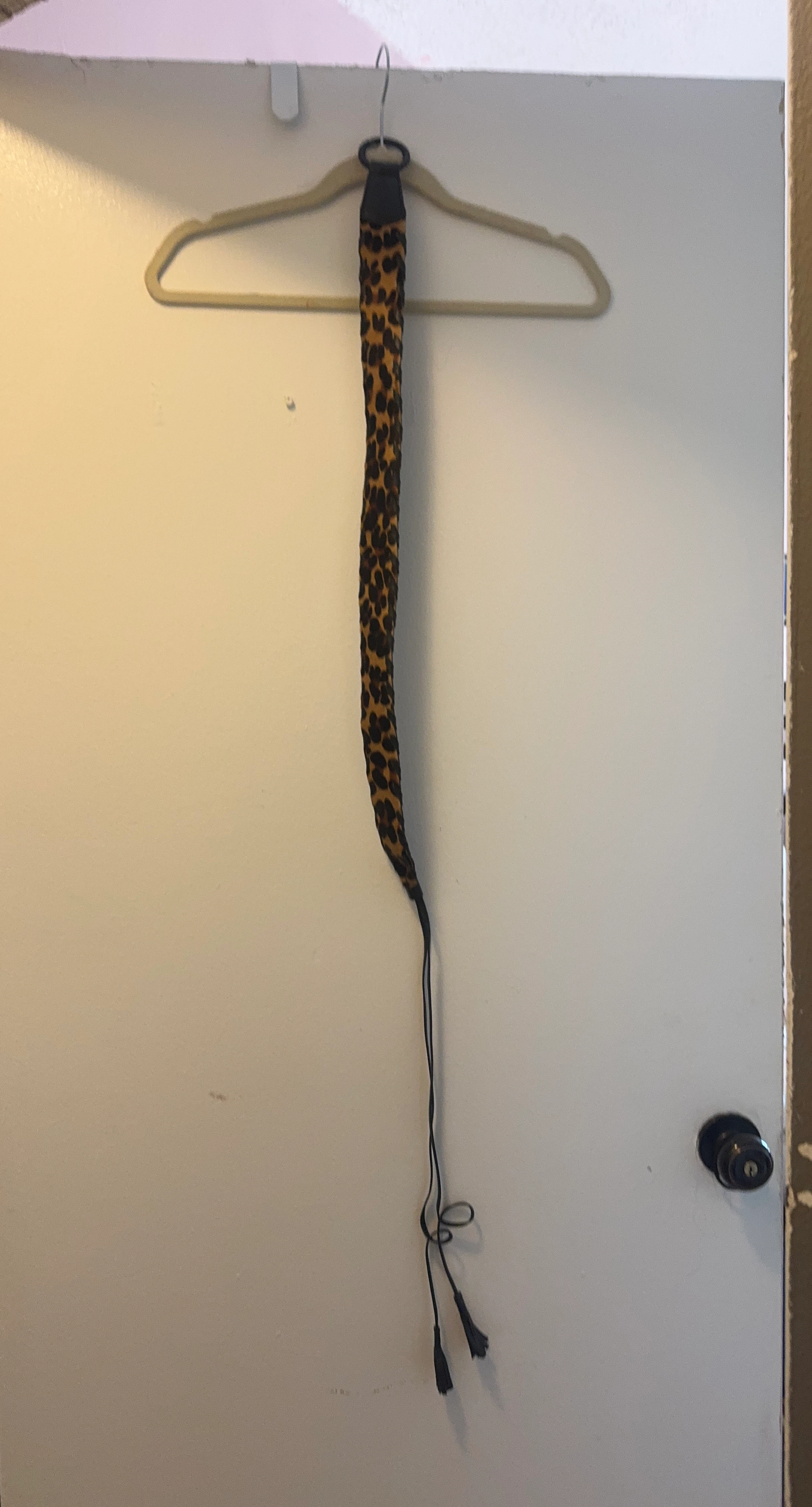 Leopard Print Waist Tie Belt