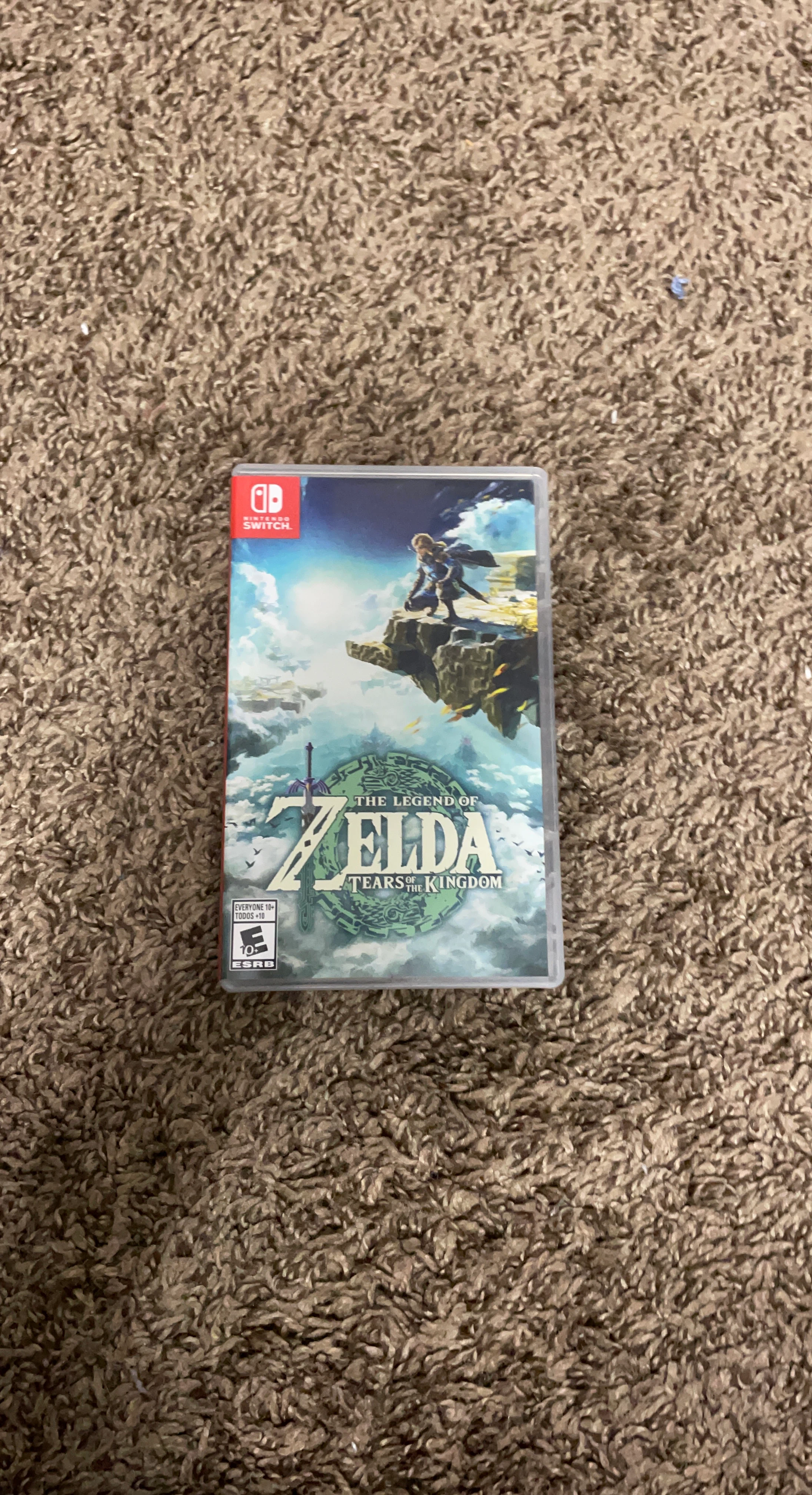 The Legend of Zelda: Tears of the Kingdom for Nintendo Switch