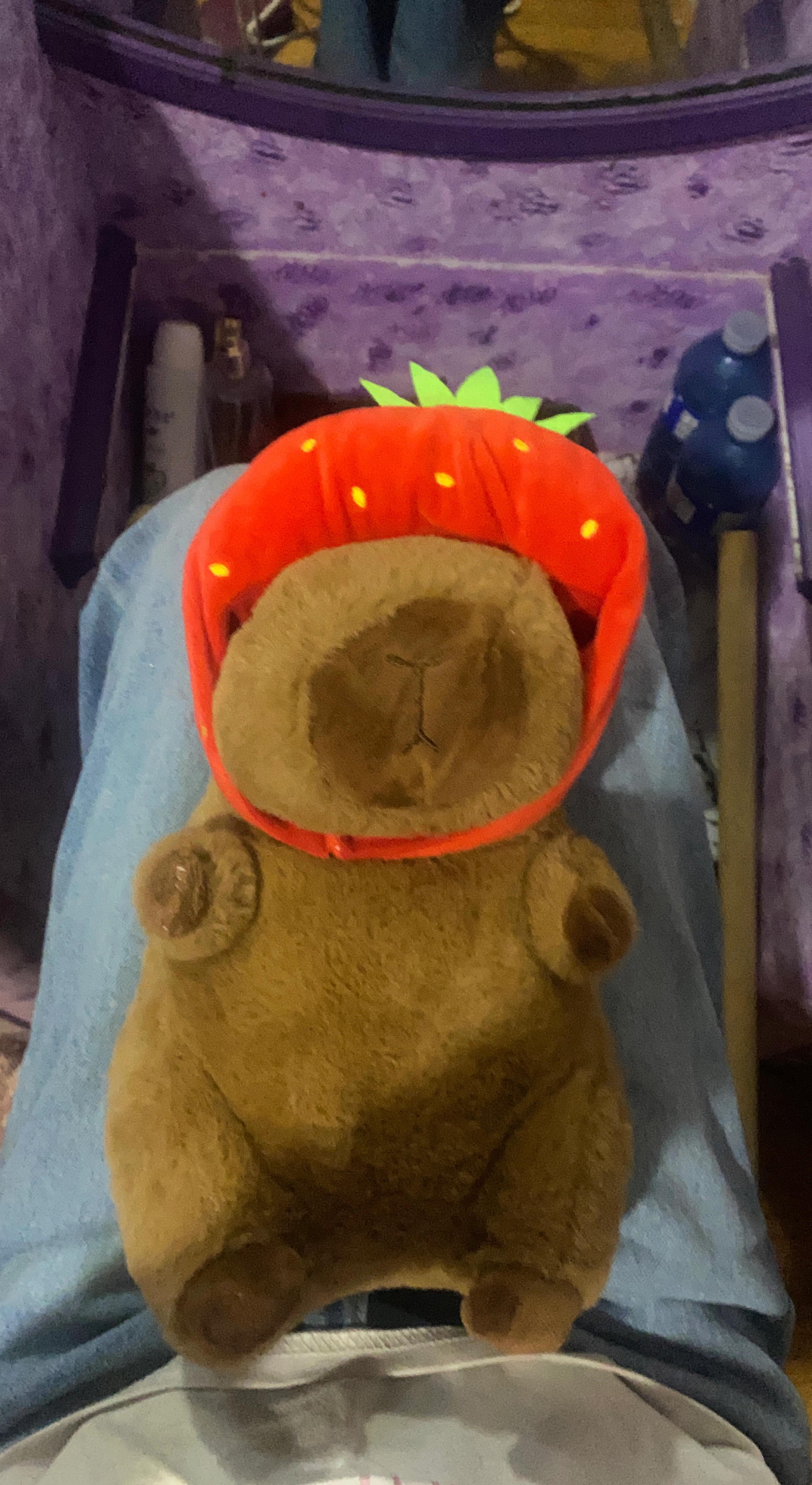 Strawberry Hat Capybara Plush