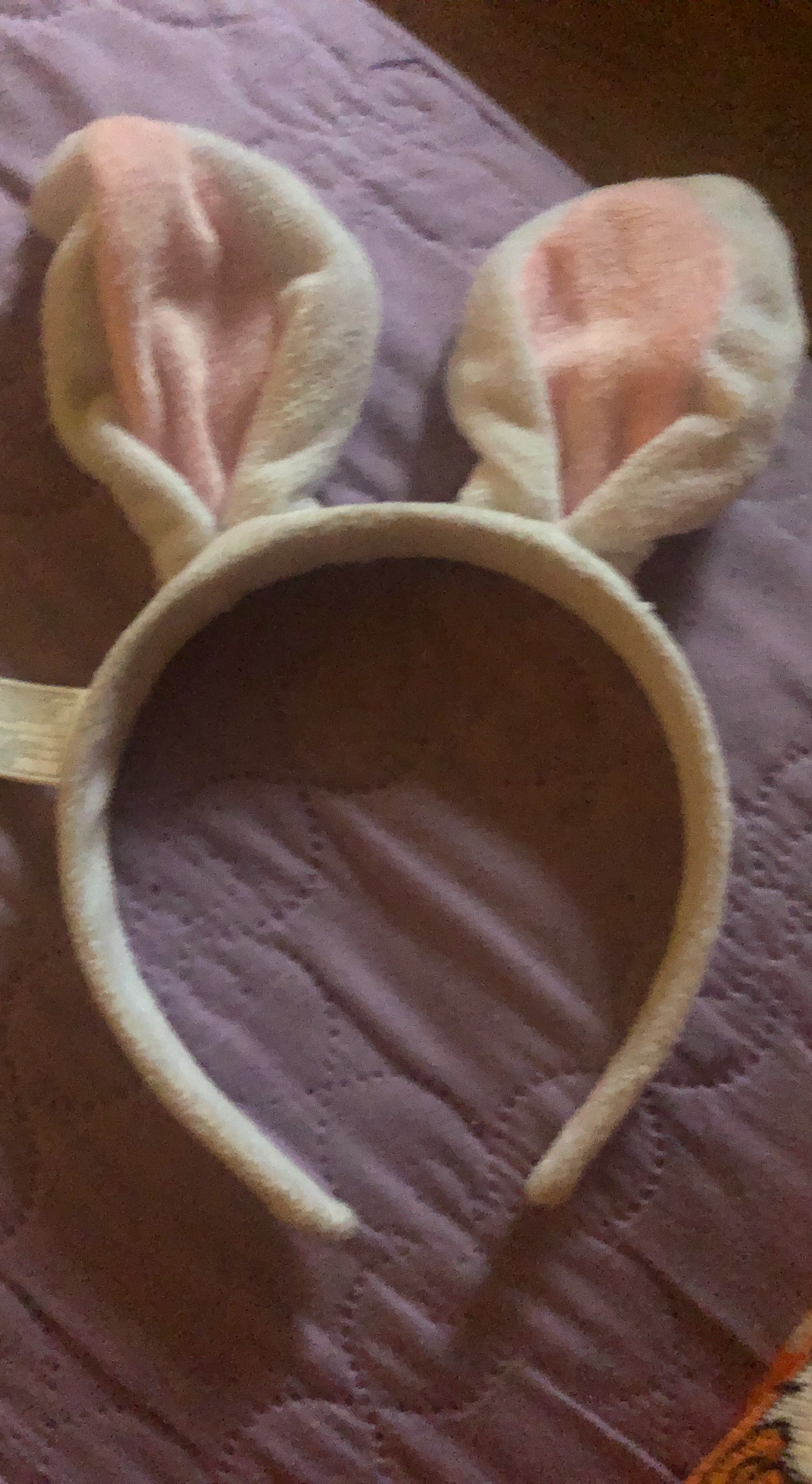 Plush Bunny Ear Headband