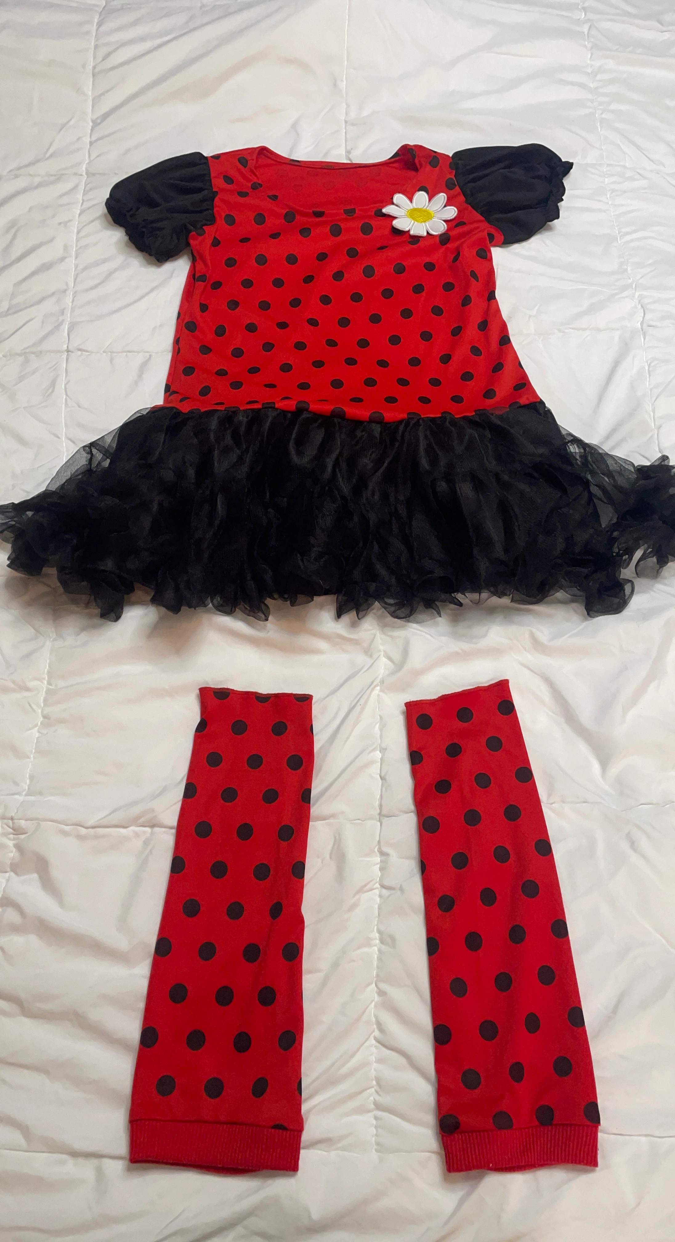 Ladybug Costume Dress and Leg Warmers + Wings