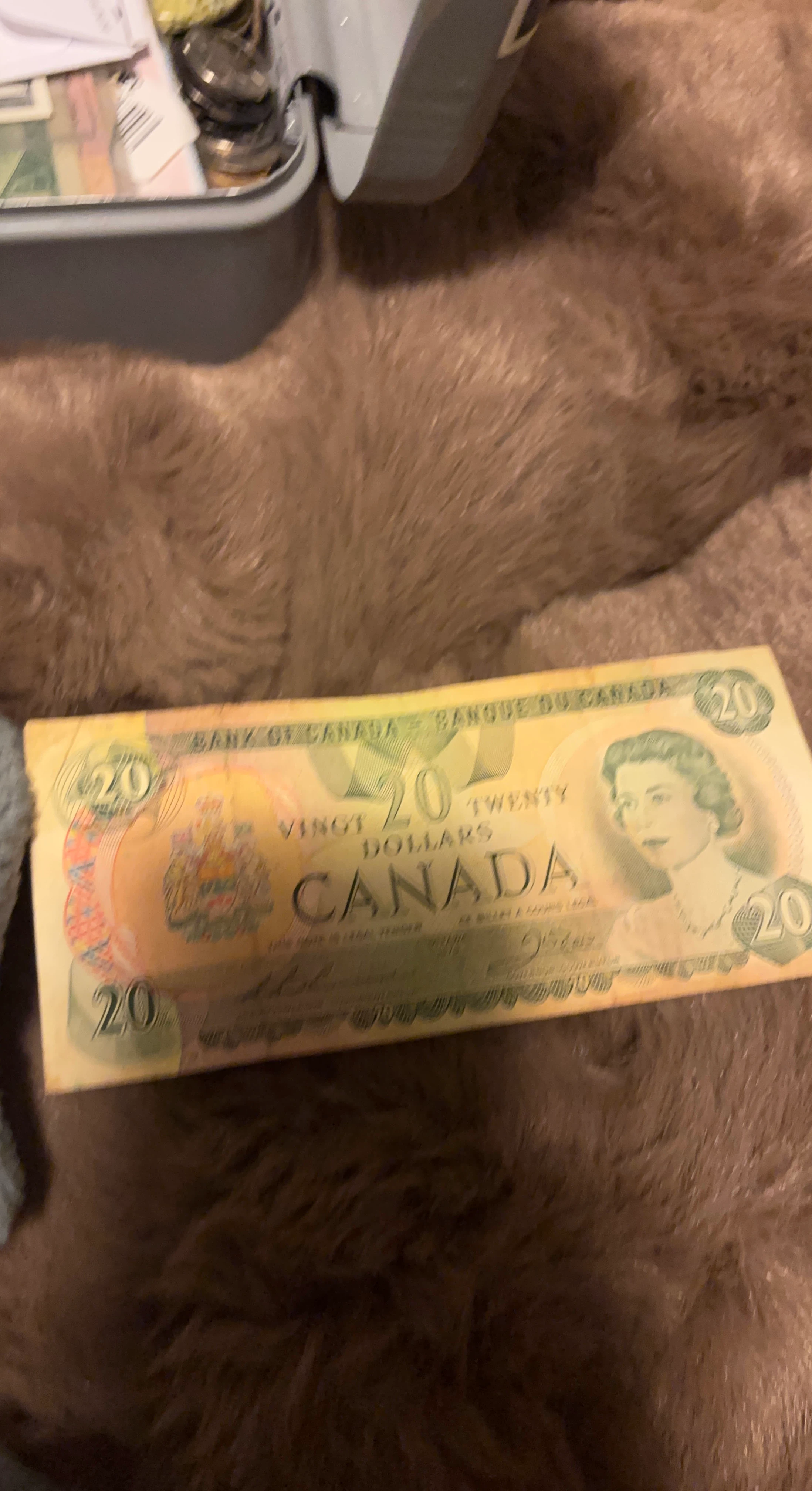 Bank of Canada $20 Bill
