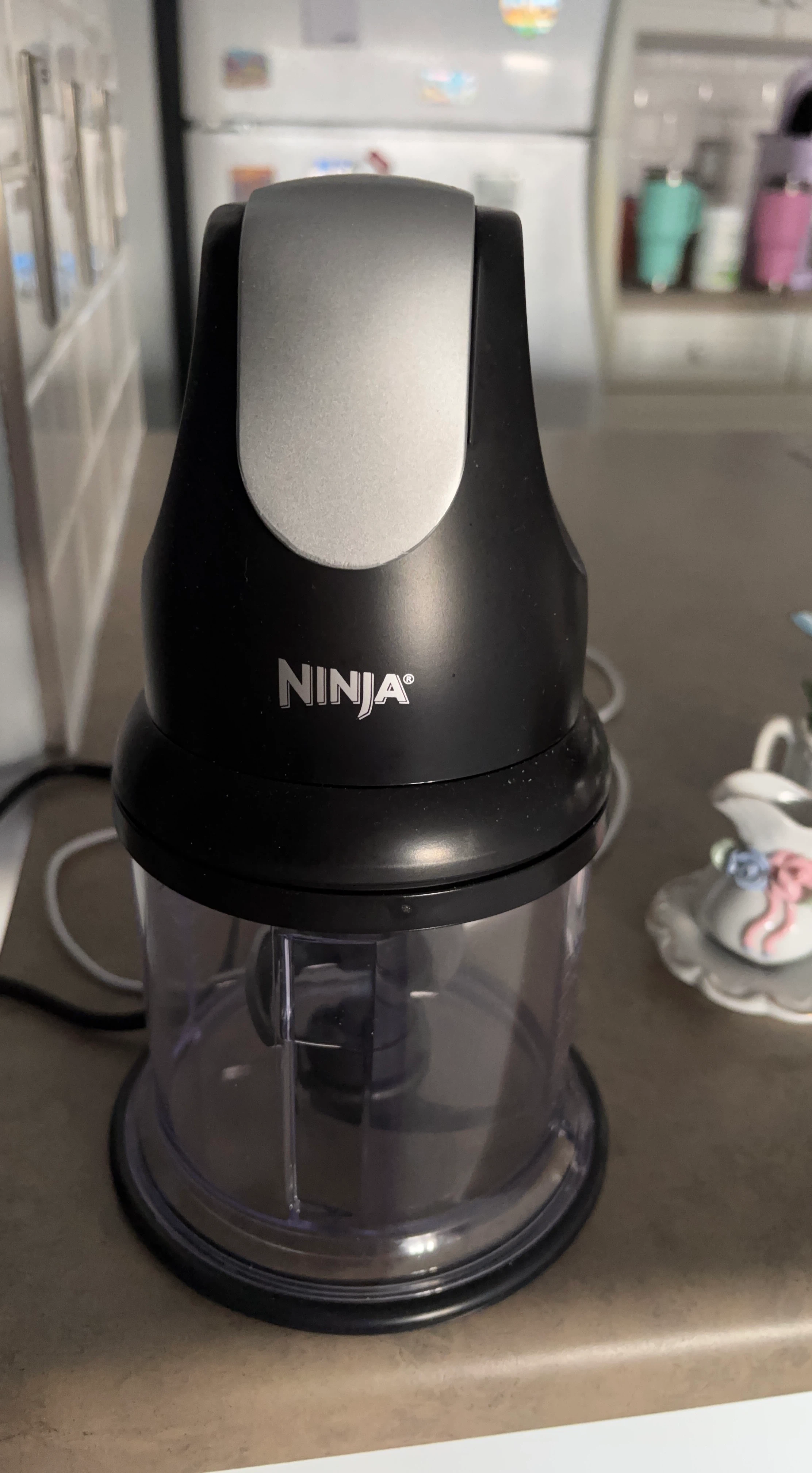 Ninja Food Chopper