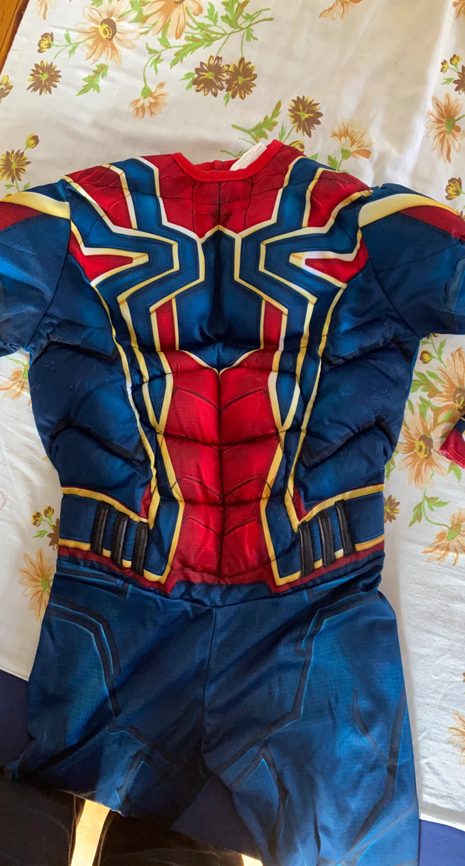 Spider-Man Costume