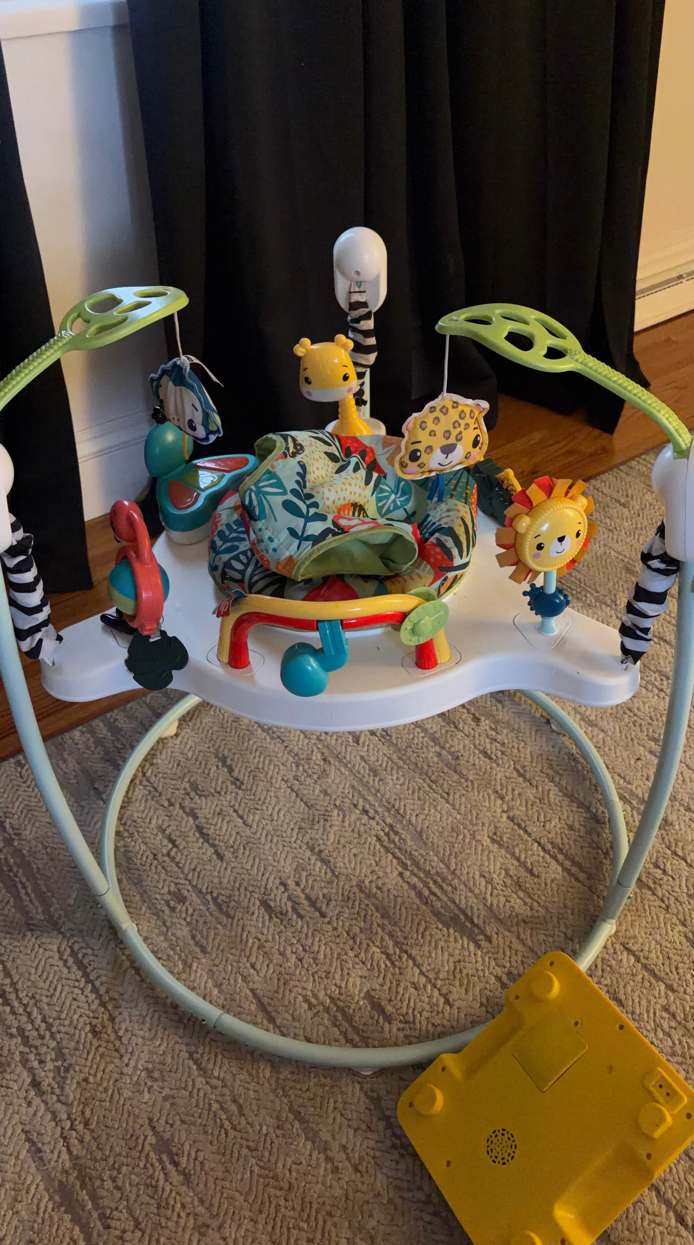 Fisher-Price Baby Jumperoo