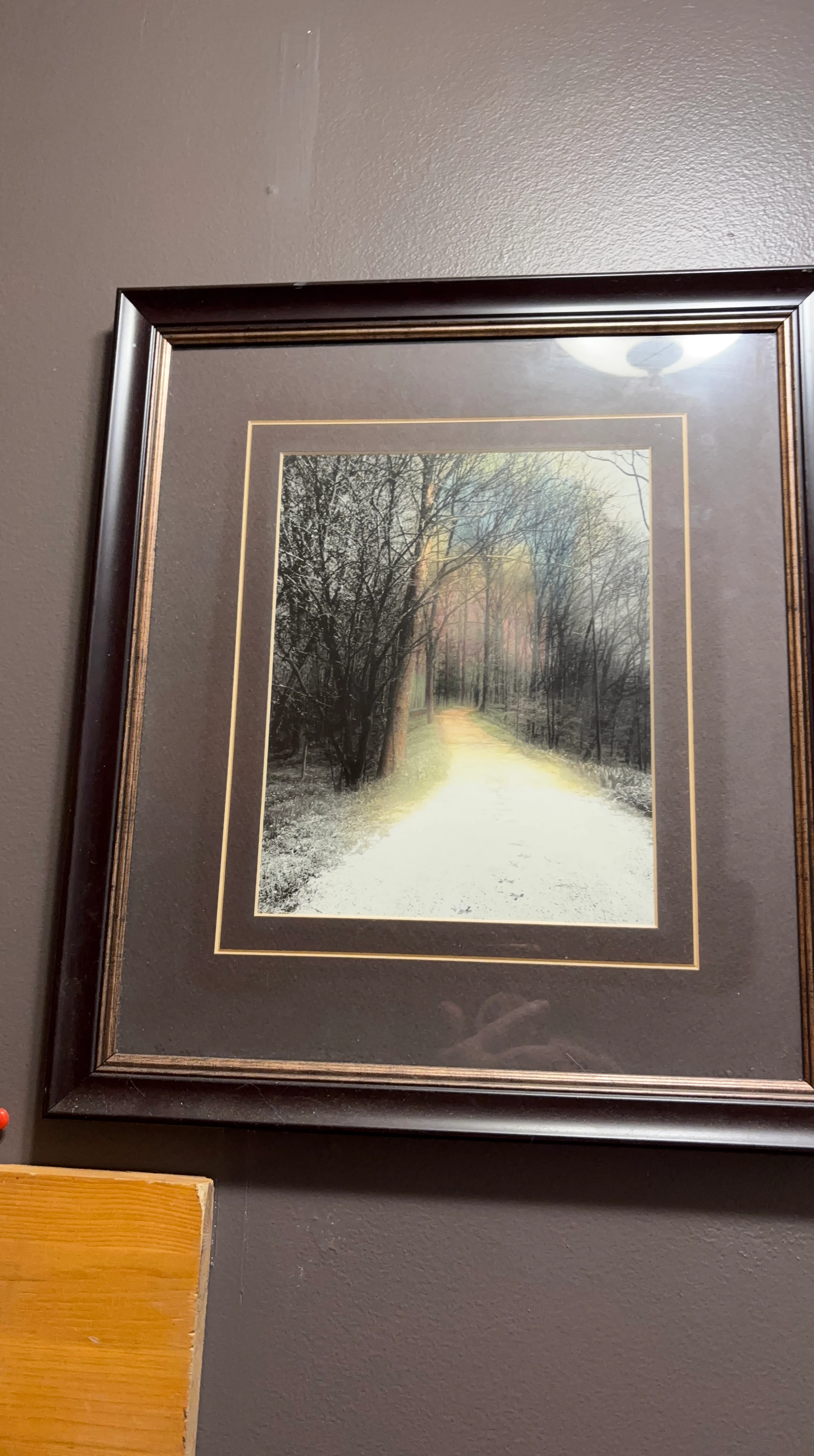 Framed Forest Path Wall Art