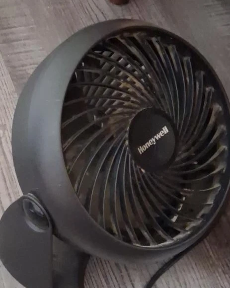 Honeywell TurboForce Desk Fan