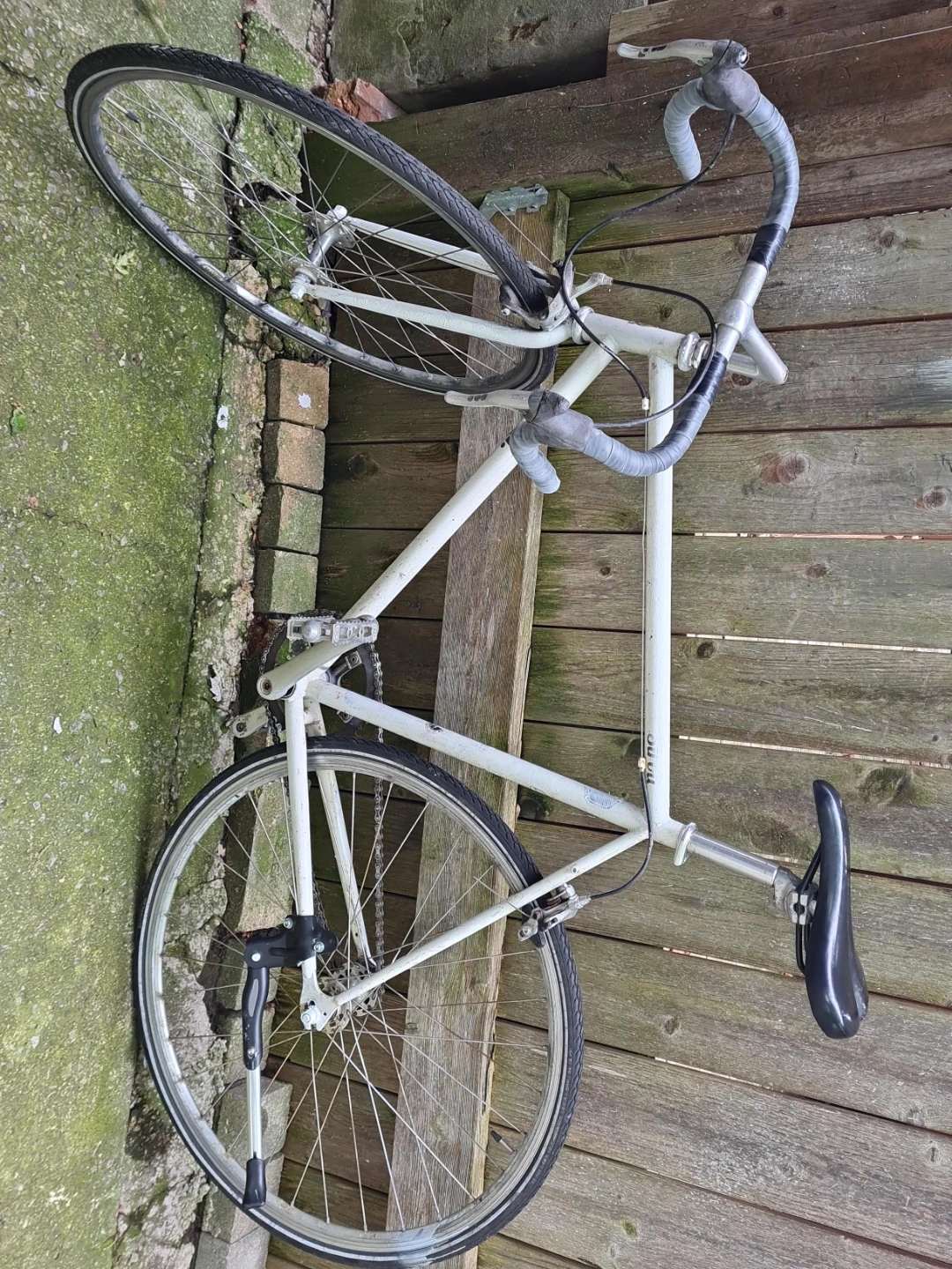 Fuji Road Bike single speed