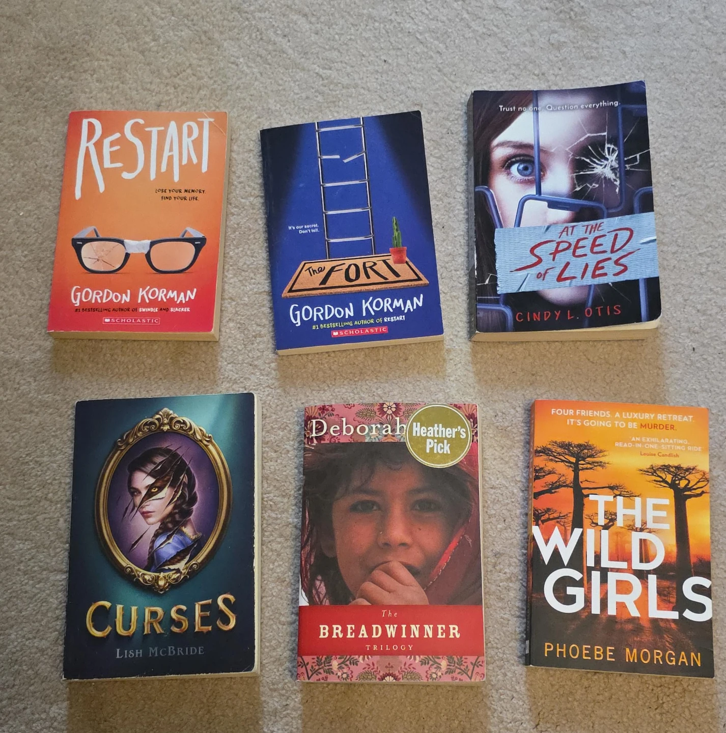 Young Adult and Fiction Novels