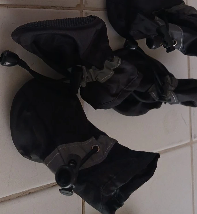 Set of 4 Size 6 (small) doggie booties