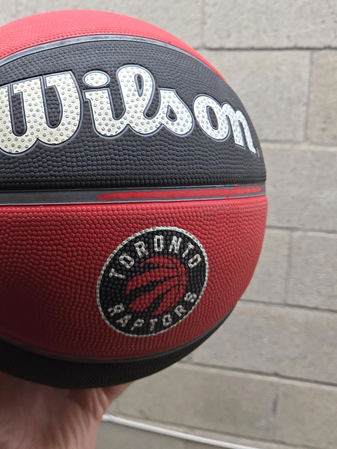 Wilson Toronto Raptors NBA Basketball