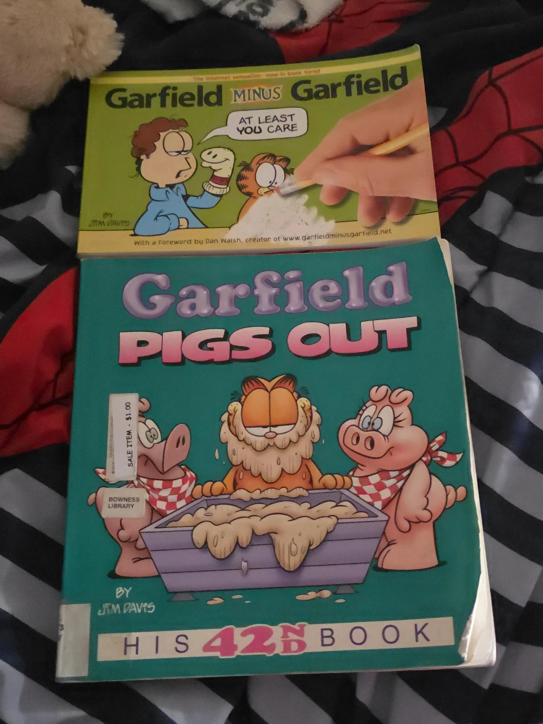 Two Garfield Books