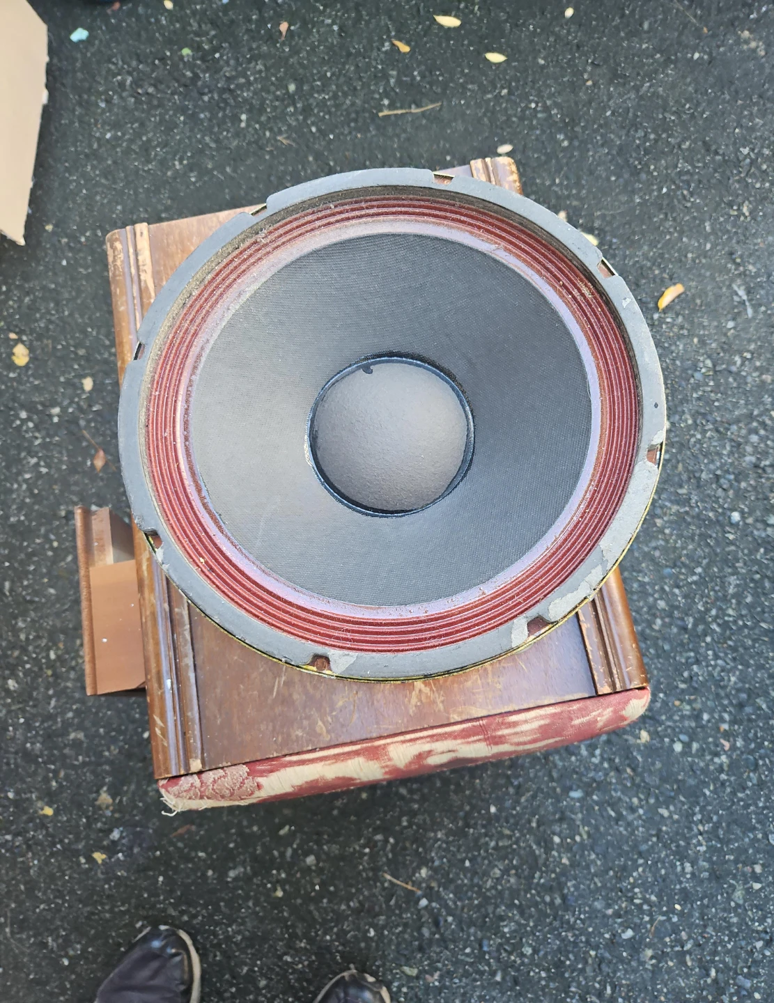 Vintage Speaker Driver