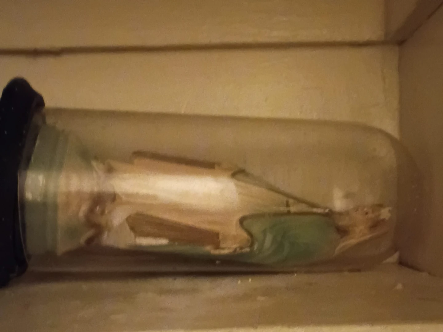Vintage Virgin Mary Statue in Glass Display