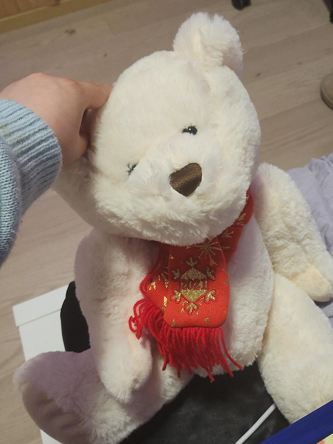 2021 Holiday Teddy Bear
