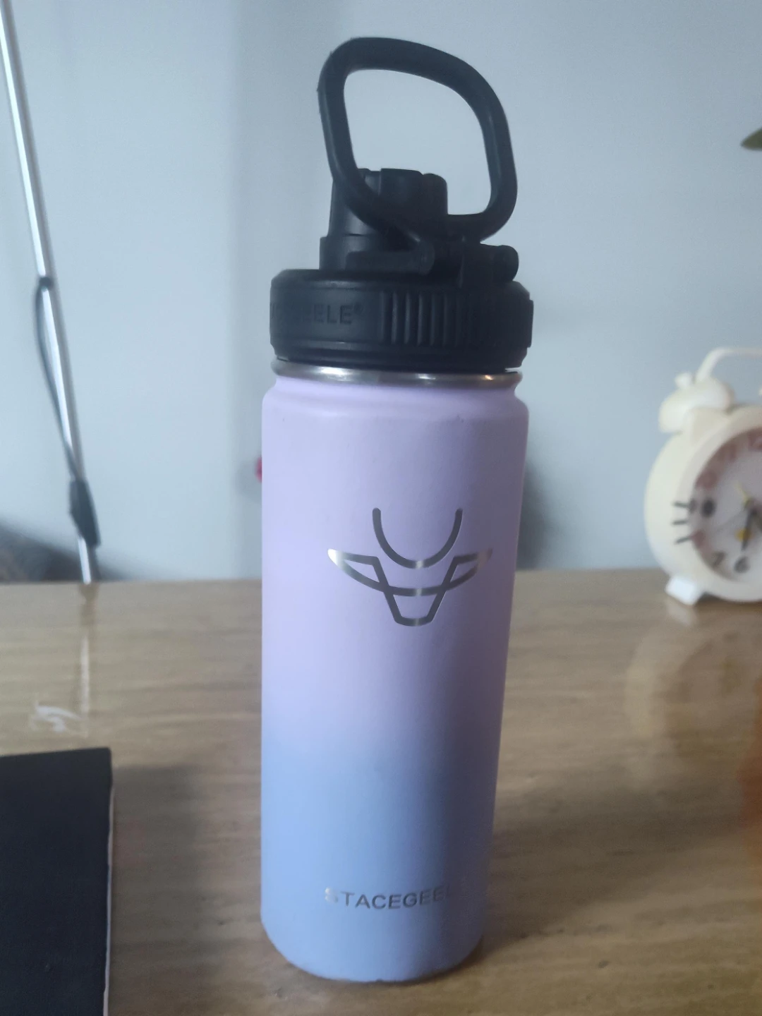 Stacegeel Insulated Water Bottle