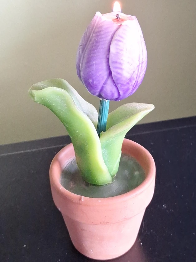 Tulip Flower Potted Candle
