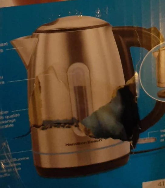 Hamilton Beach Stainless Steel Electric Kettle