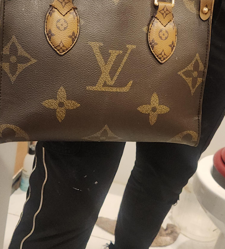 Louis Vuitton Monogram Onthego PM Handbag