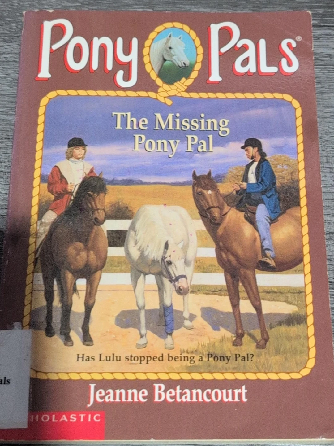 Pony Pals: The Missing Pony Pal